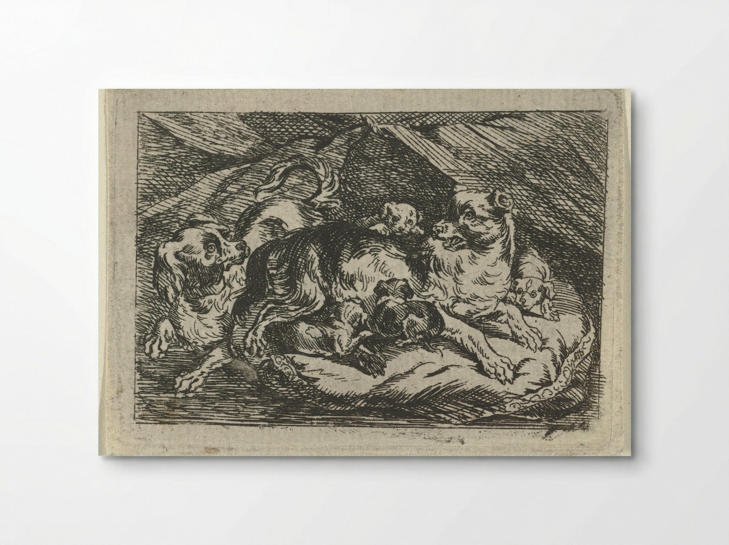 Nest met jonge hondjes - Tethart Philip Christian Haag - Poster
