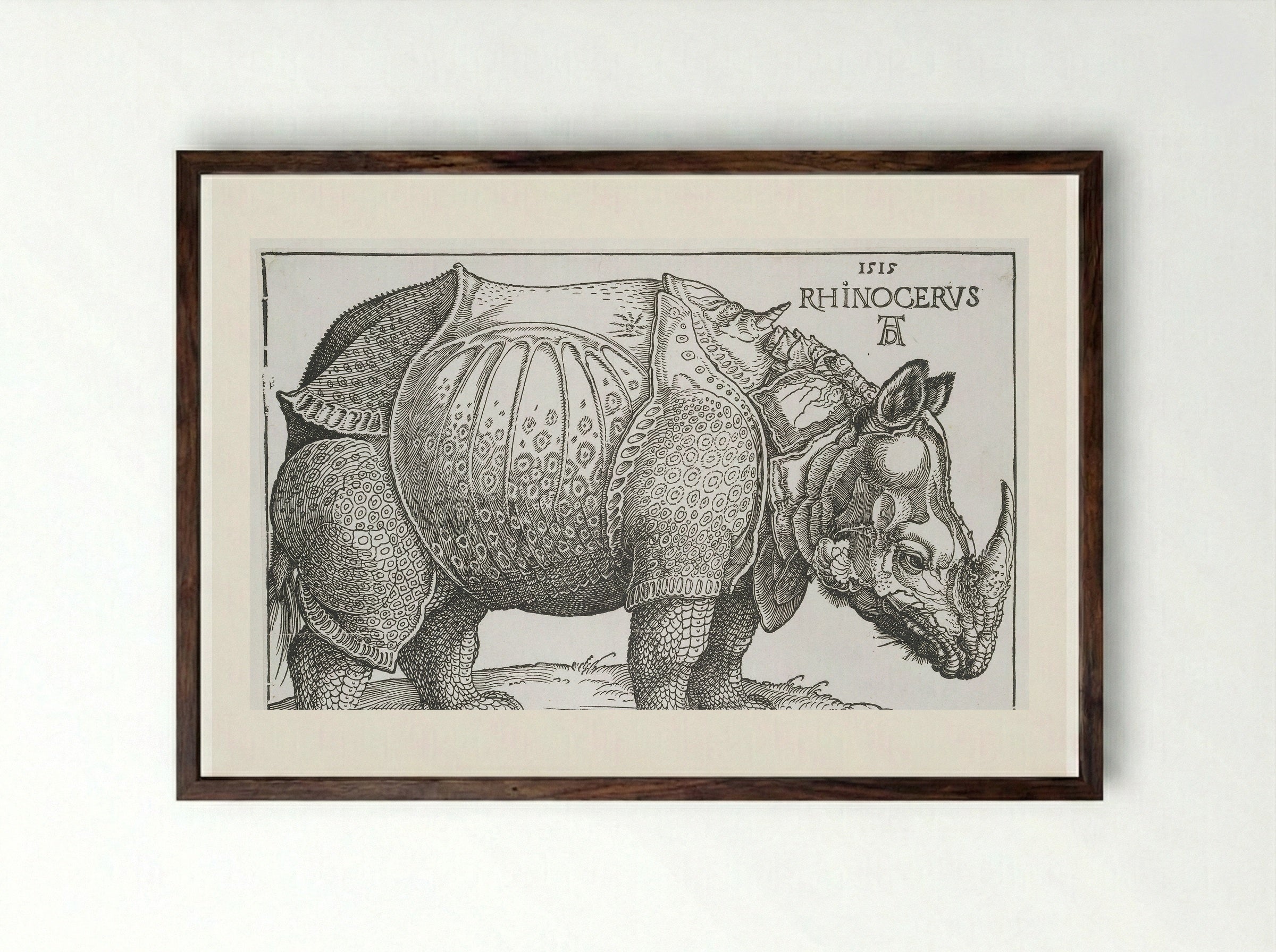 Neushoorn (Rhinoceros) - Hendrick Hondius (I) - Framed Print Dark Wood