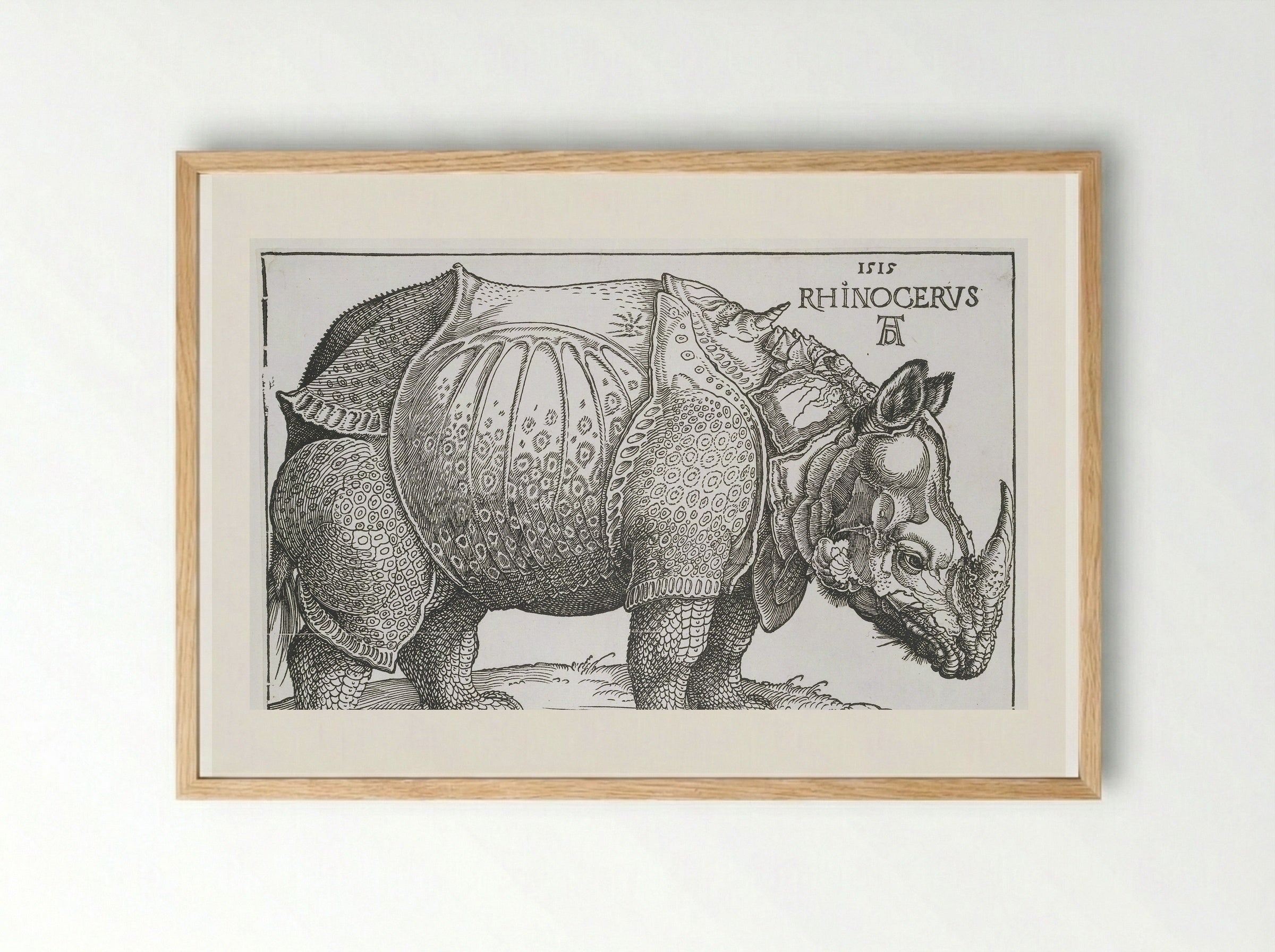 Neushoorn (Rhinoceros) - Hendrick Hondius (I) - Framed Print Wood