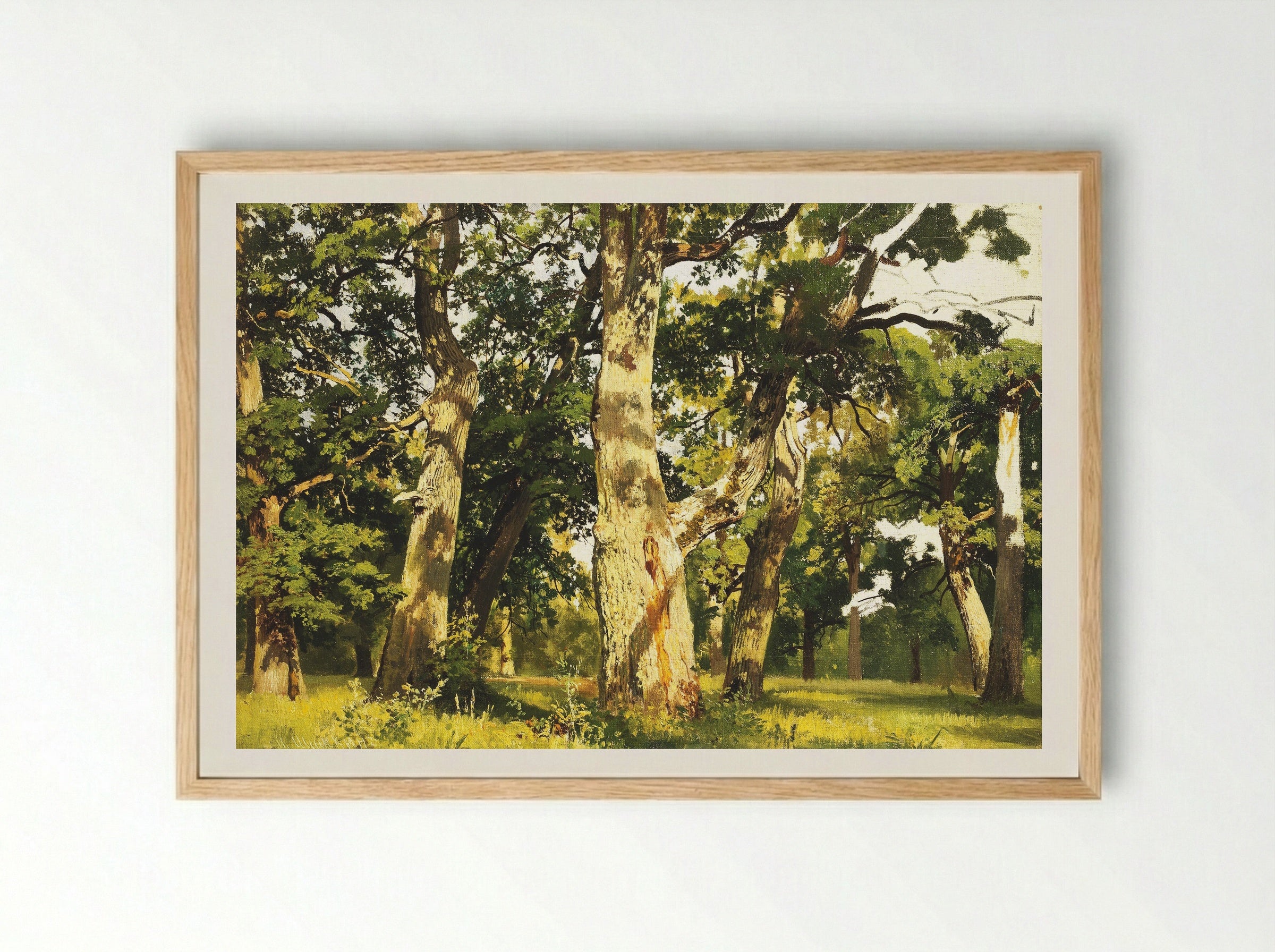 Oaks. Evening - Ivan Shishkin - Framed Print Wood
