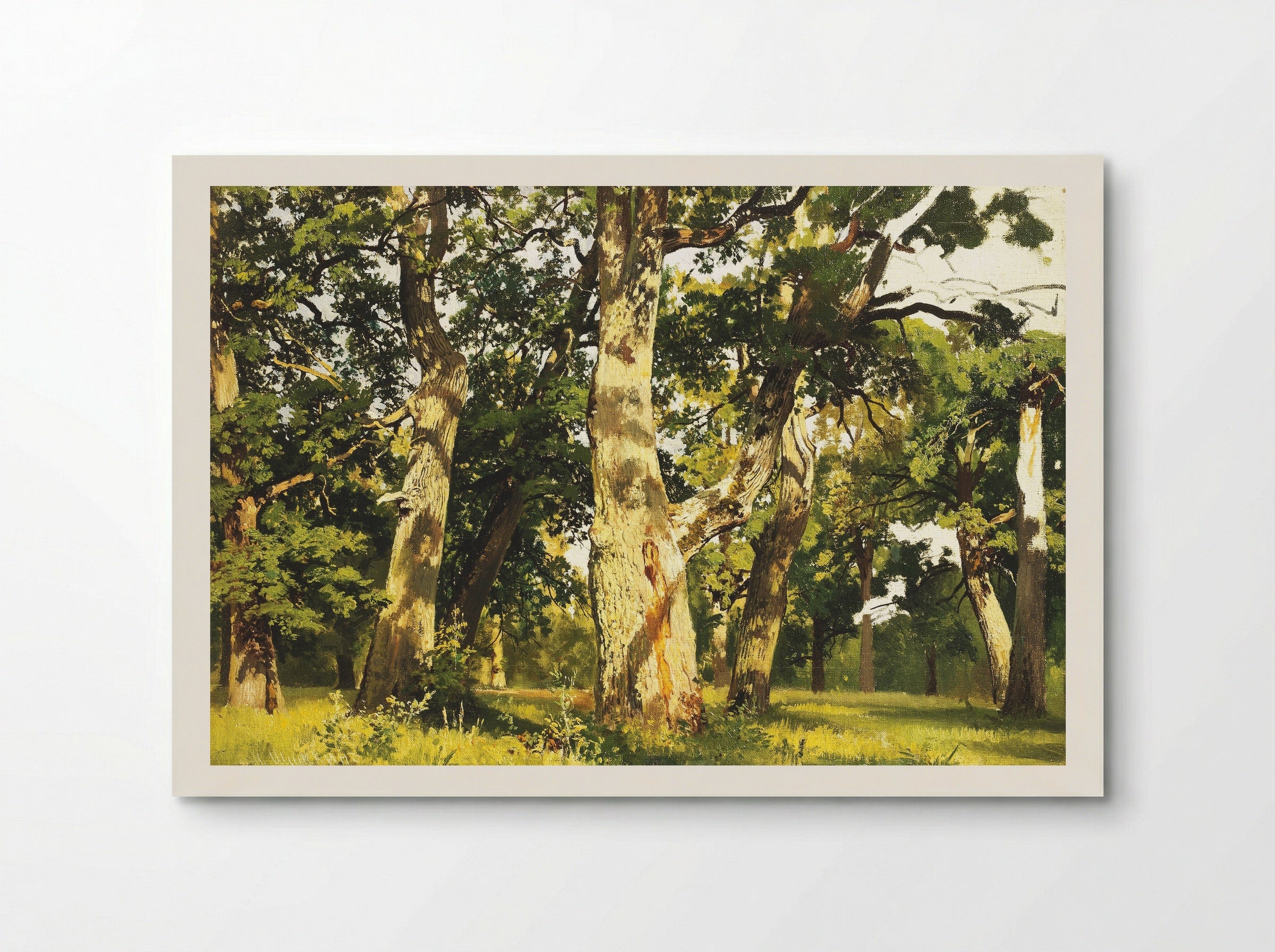 Oaks. Evening - Ivan Shishkin - Poster
