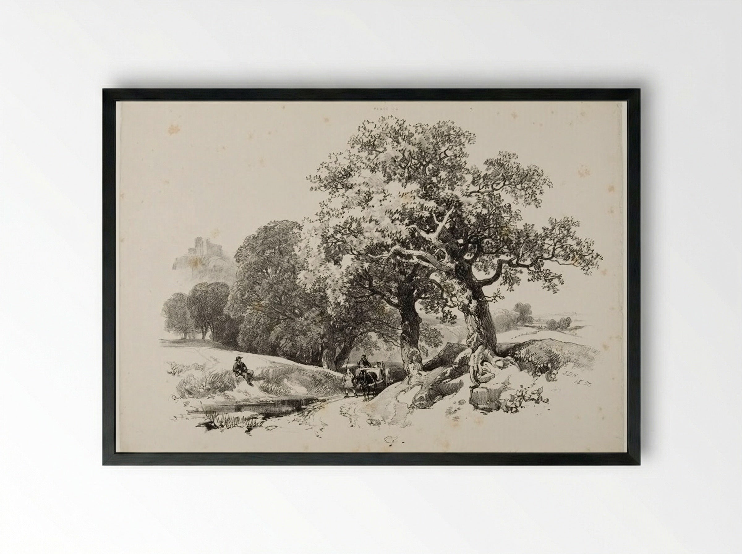 Old Oaks - James Duffield Harding - Framed Print Black