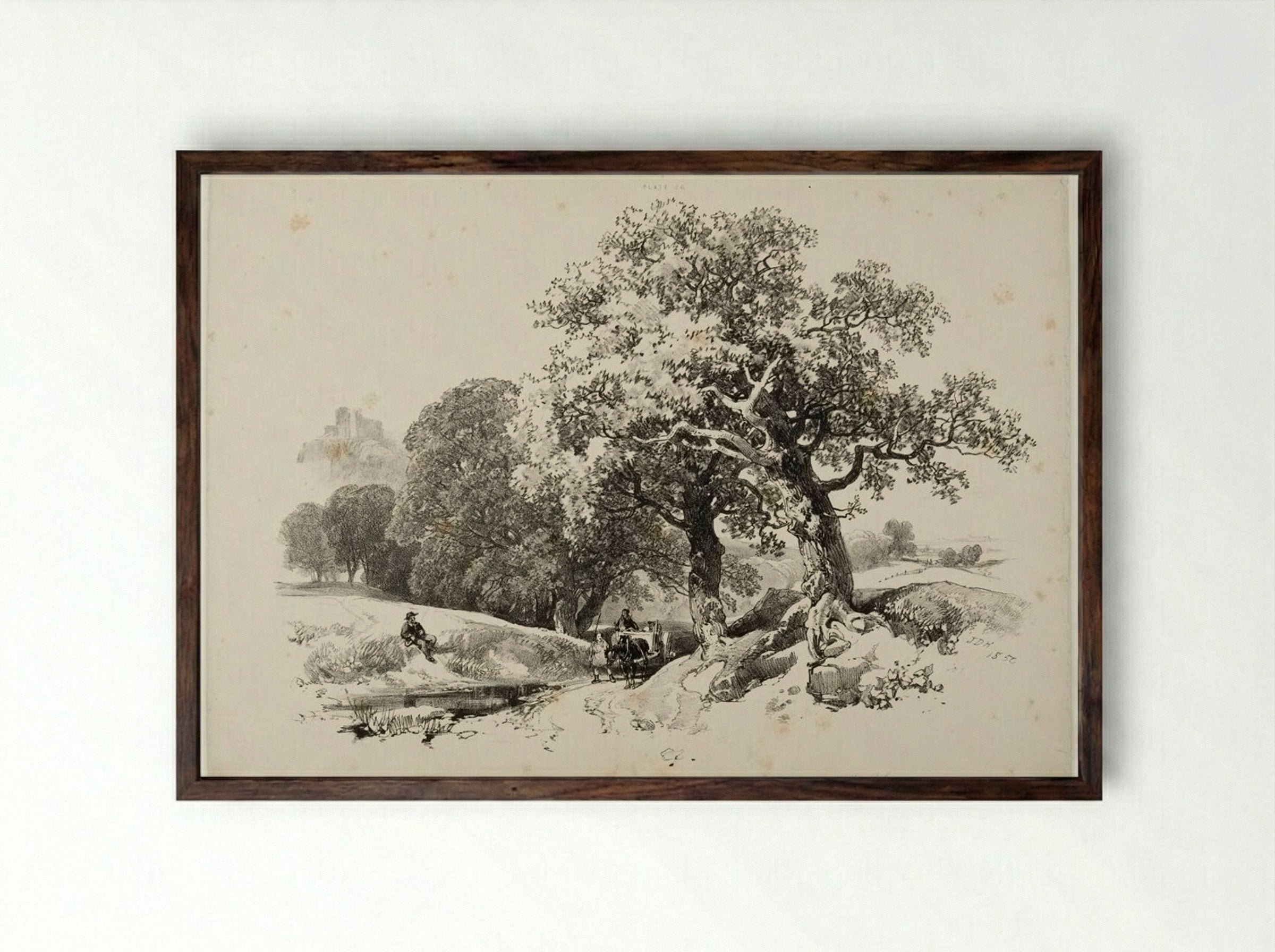 Old Oaks - James Duffield Harding - Framed Print Dark Wood