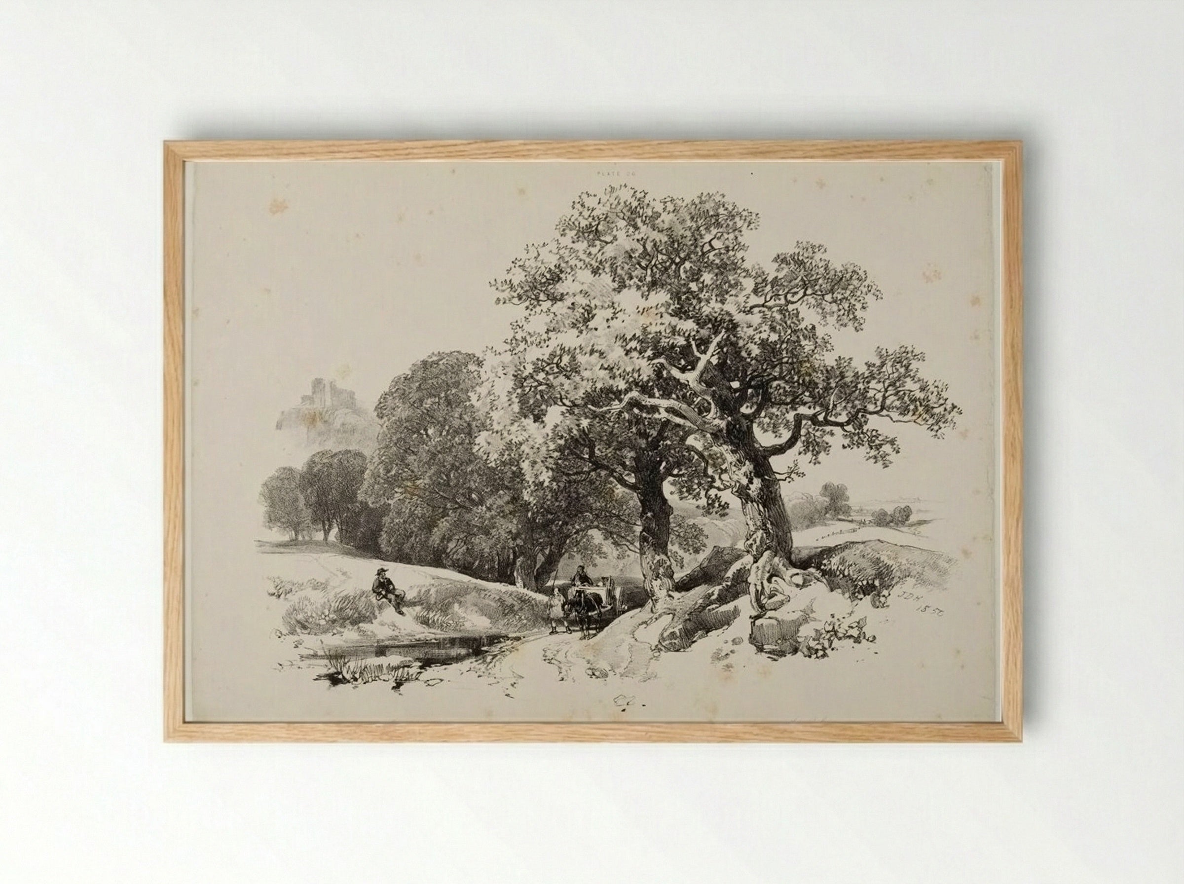 Old Oaks - James Duffield Harding - Framed Print Wood