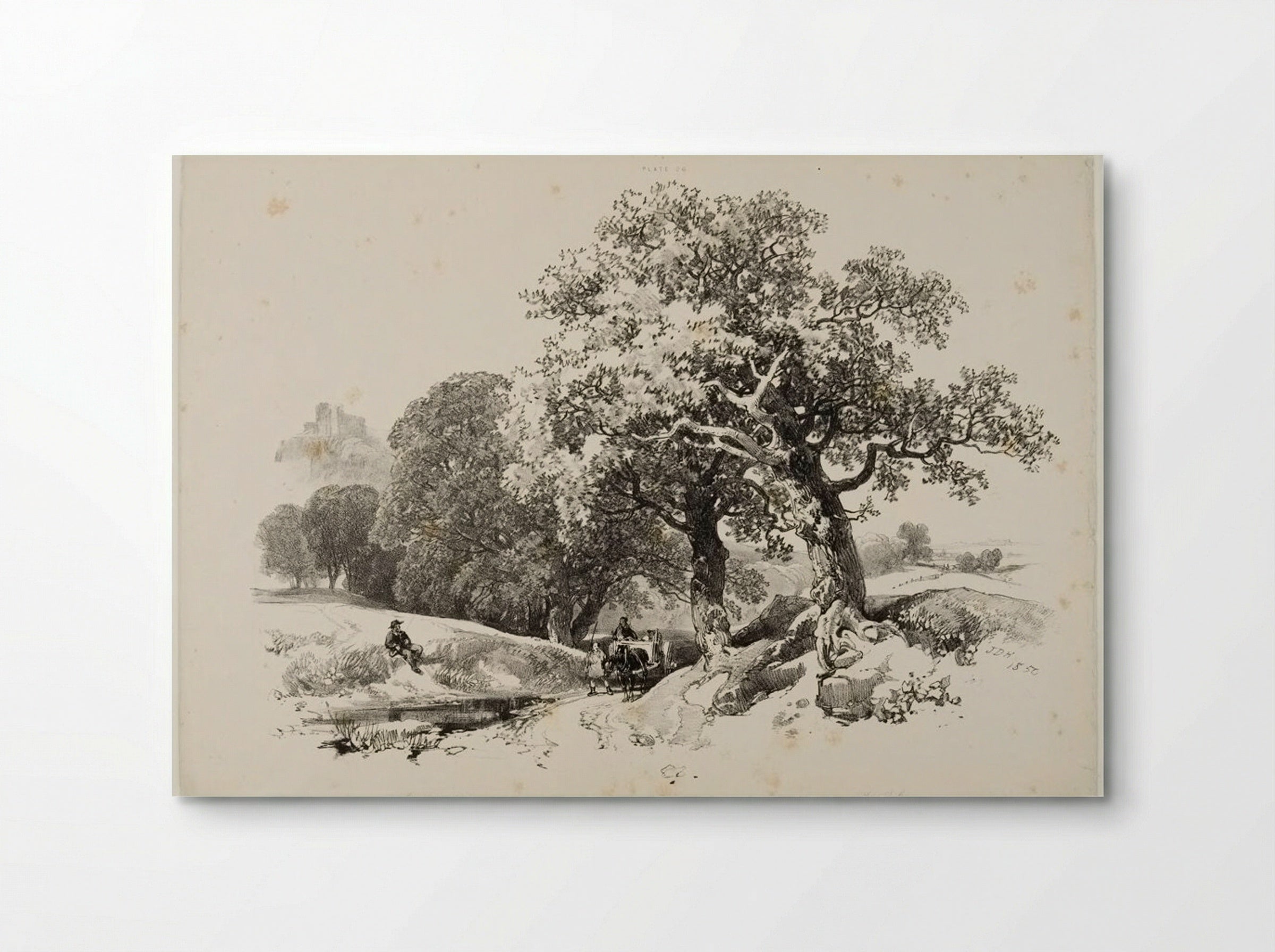 Old Oaks - James Duffield Harding - Poster