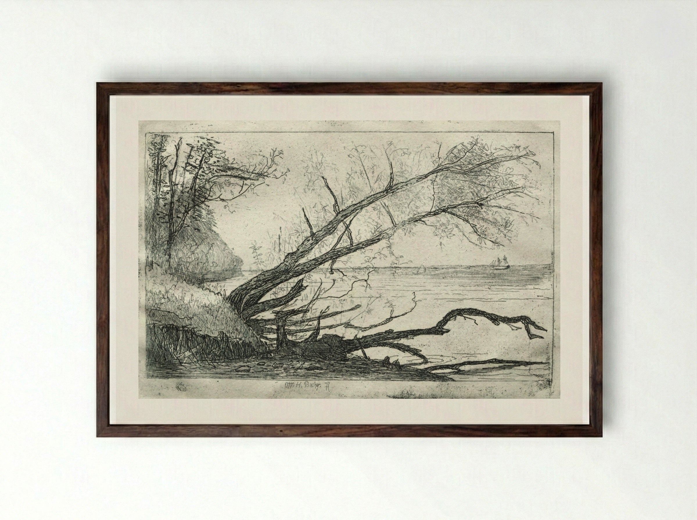Old Sycamore - Otto H. Bacher - Framed Print Dark Wood