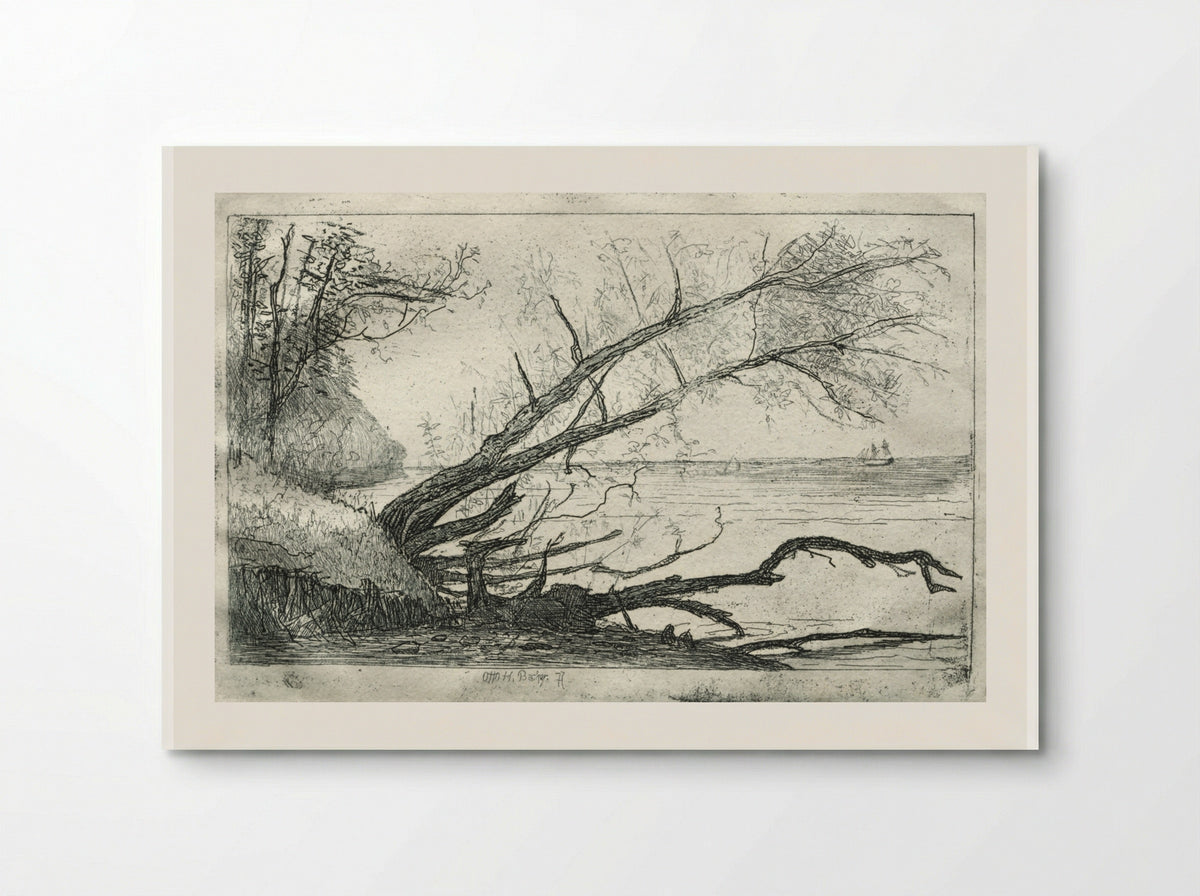 Old Sycamore - Otto H. Bacher - Poster