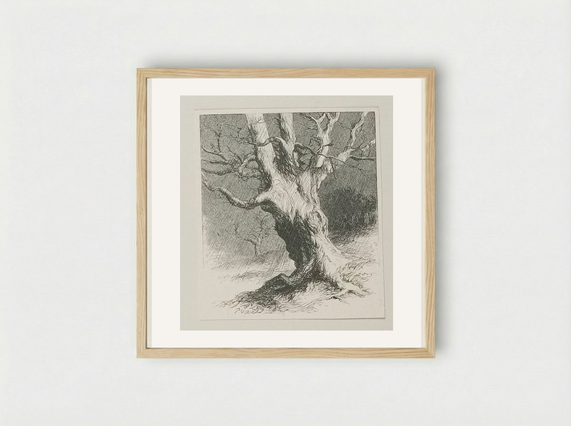Old Tree - Edward Dalziel - Framed Print Wood