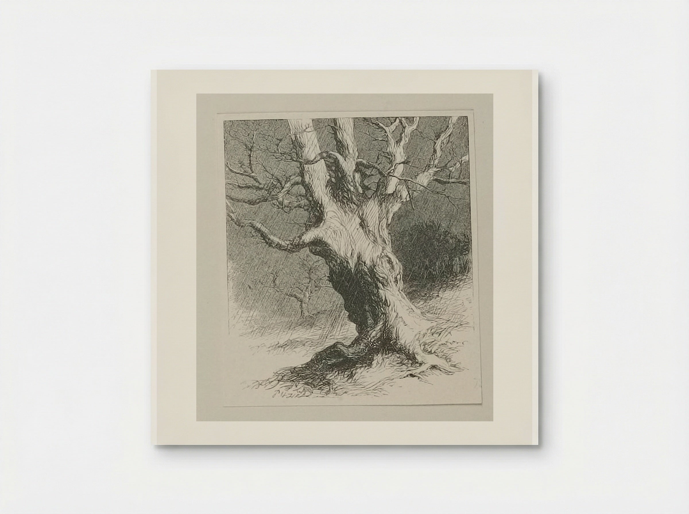 Old Tree - Edward Dalziel - Poster