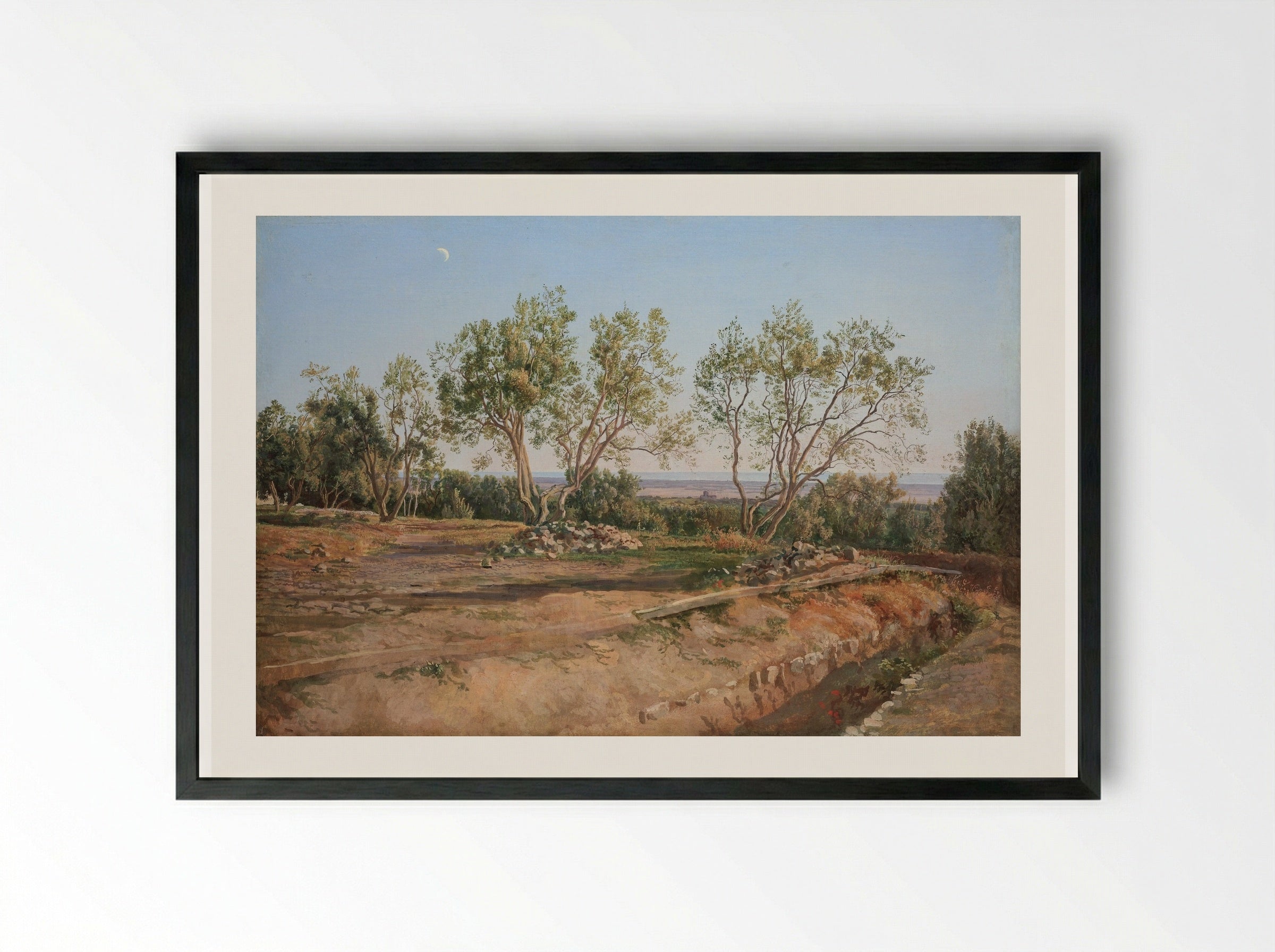 Olive Trees at Albano - Alexander Ivanov - Framed Print Black