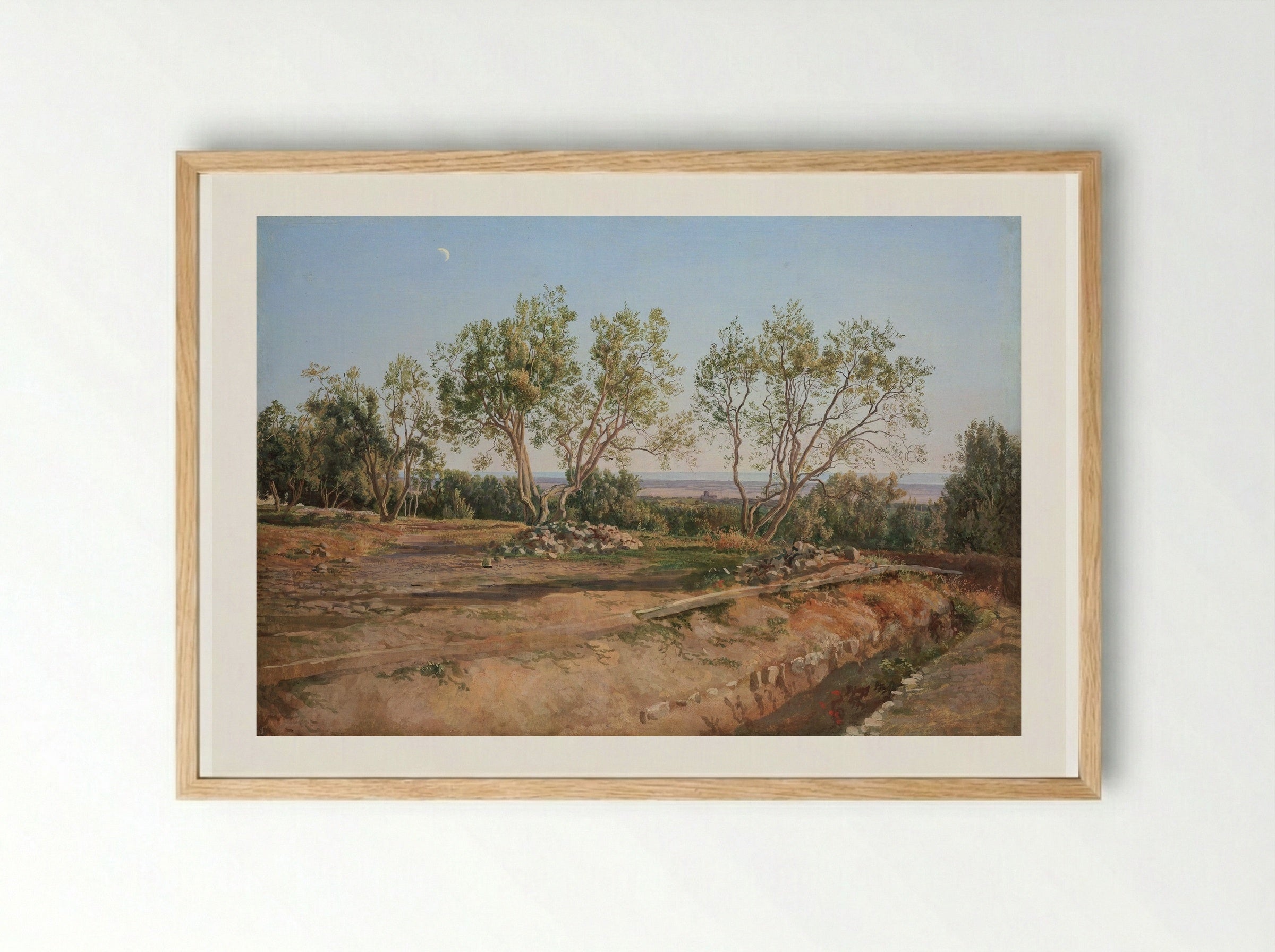 Olive Trees at Albano - Alexander Ivanov - Framed Print Wood