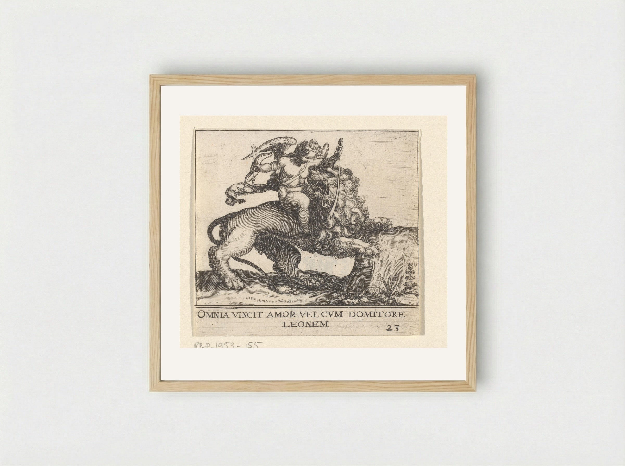 Omnia Vincit Amor (Cupid Taming a Lion) - Johann Theodor de Bry - Framed Print Wood