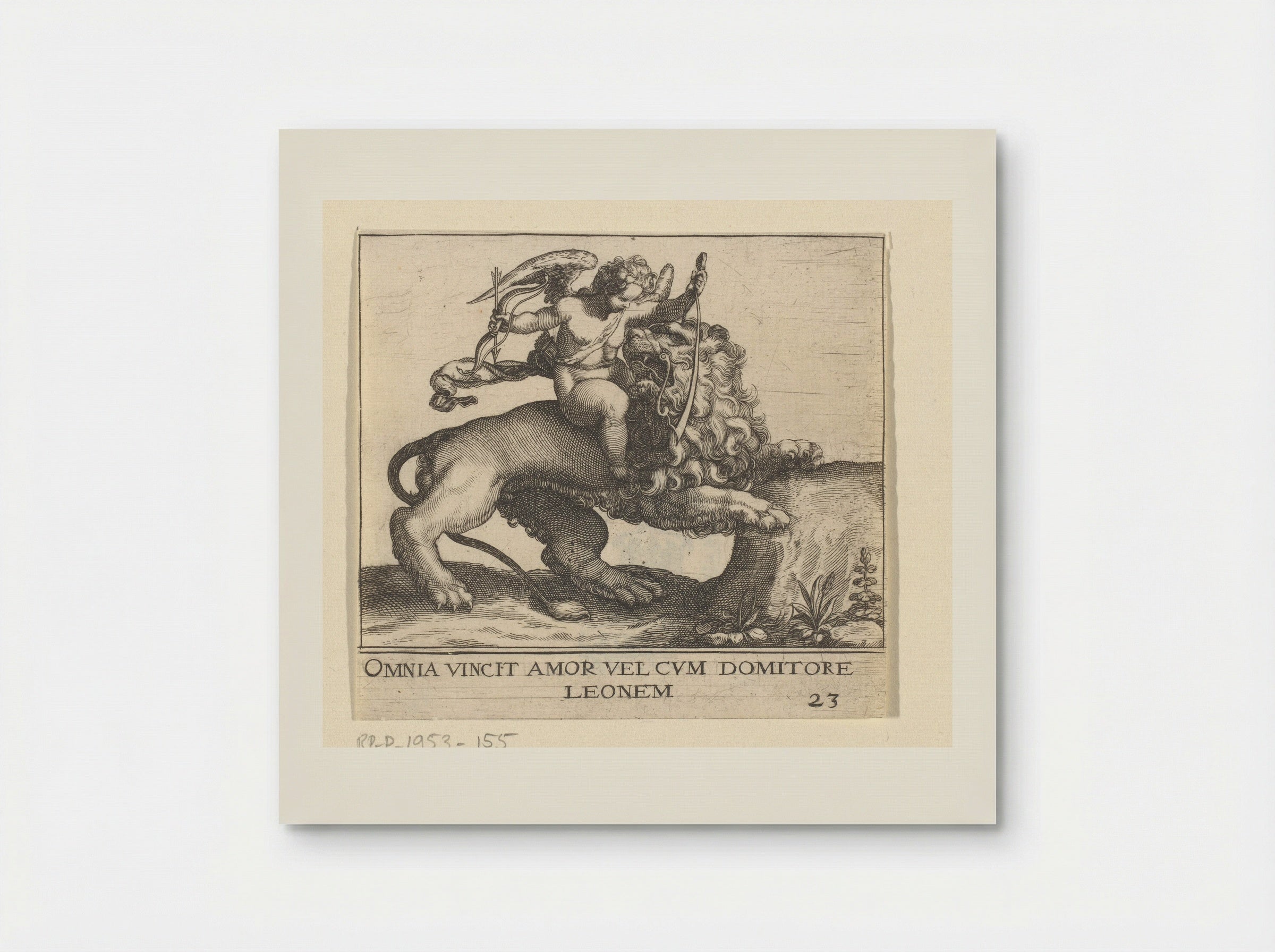 Omnia Vincit Amor (Cupid Taming a Lion) - Johann Theodor de Bry - Poster