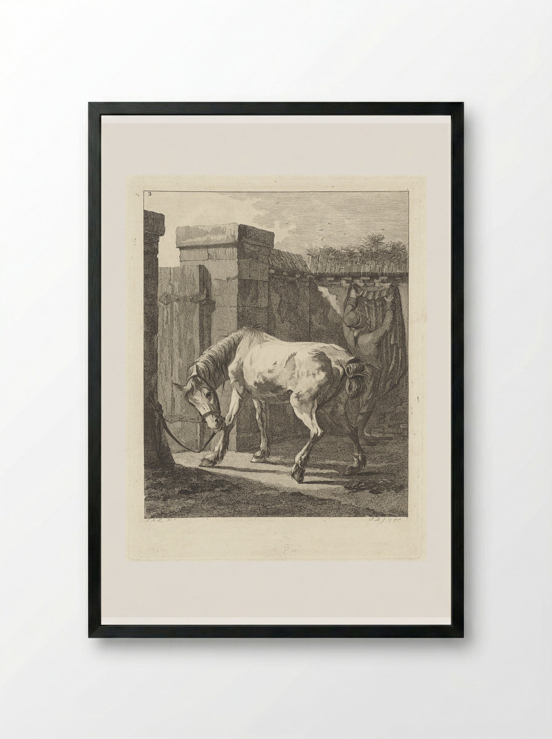 Ongezadeld paard met de toom aan een paal vastgemaakt - Joannes Bemme - Framed Print Black