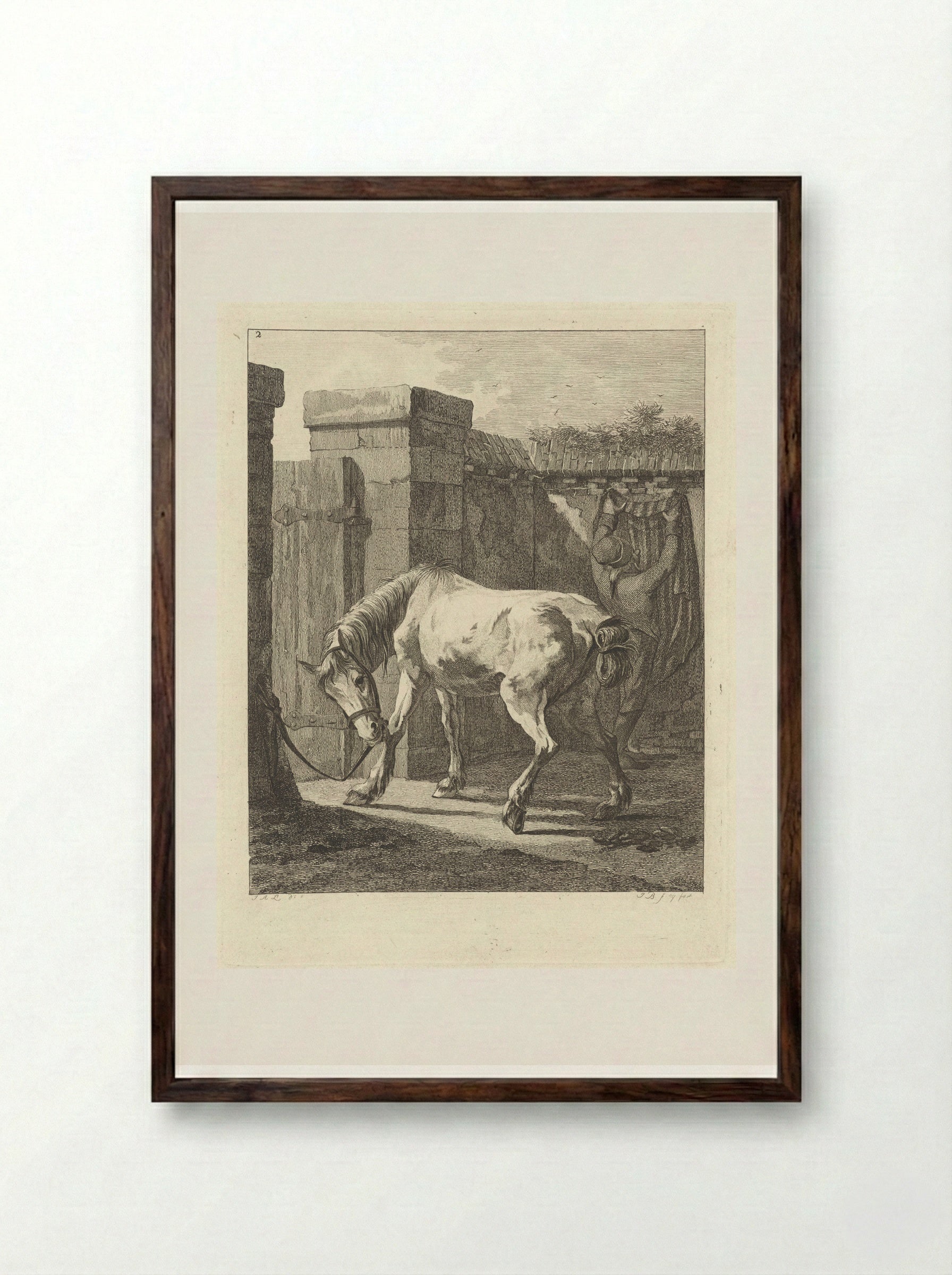 Ongezadeld paard met de toom aan een paal vastgemaakt - Joannes Bemme - Framed Print Dark Wood