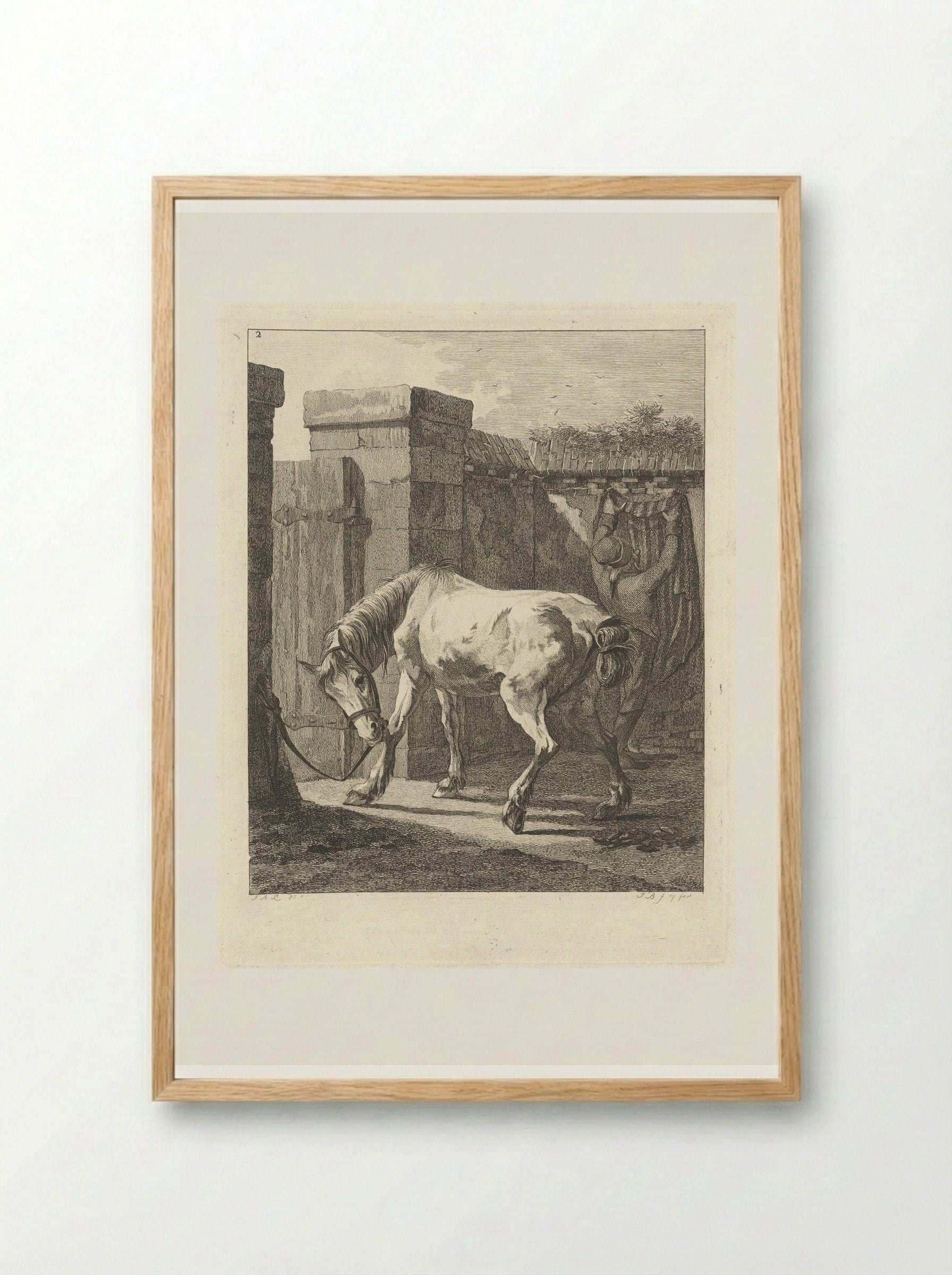 Ongezadeld paard met de toom aan een paal vastgemaakt - Joannes Bemme - Framed Print Wood