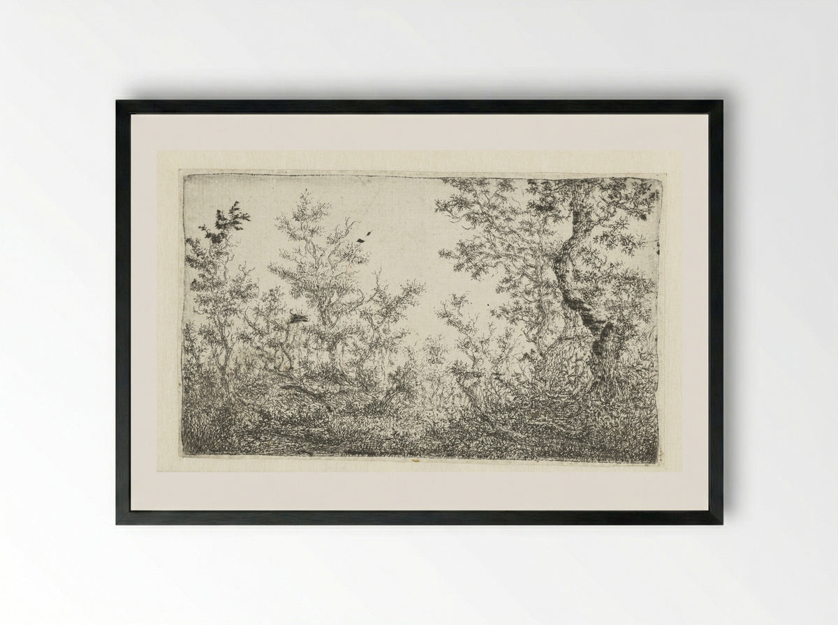 Open plek in het bos - Claes van Beresteyn - Framed Print Black