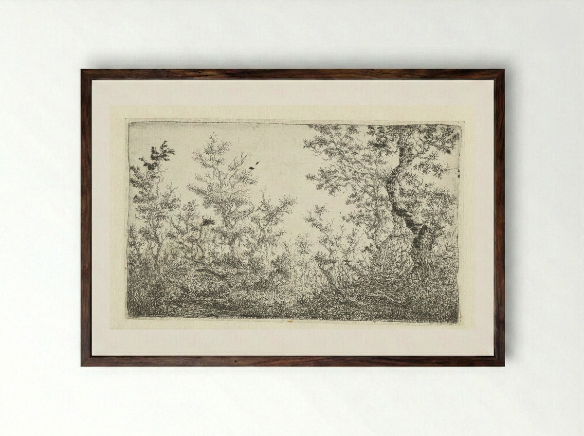 Open plek in het bos - Claes van Beresteyn - Framed Print Dark Wood