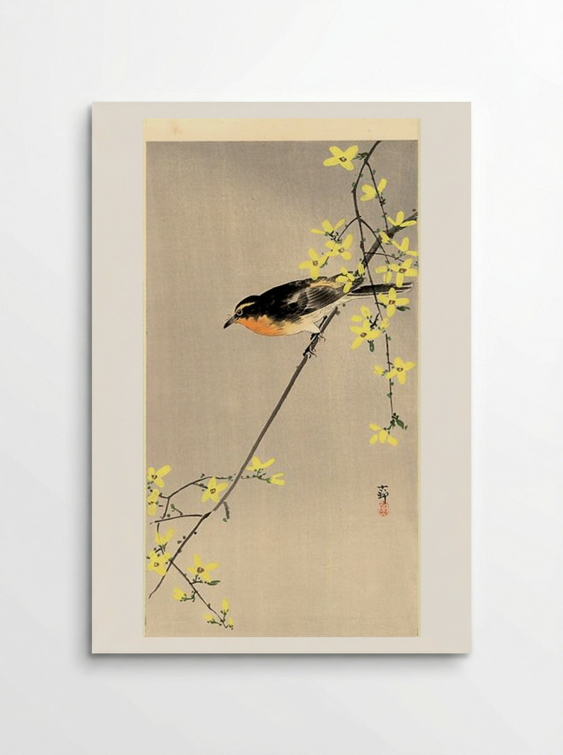 Orange-Breasted Bird on Branch with Yellow Flowers - Ohara Koson - Poster
