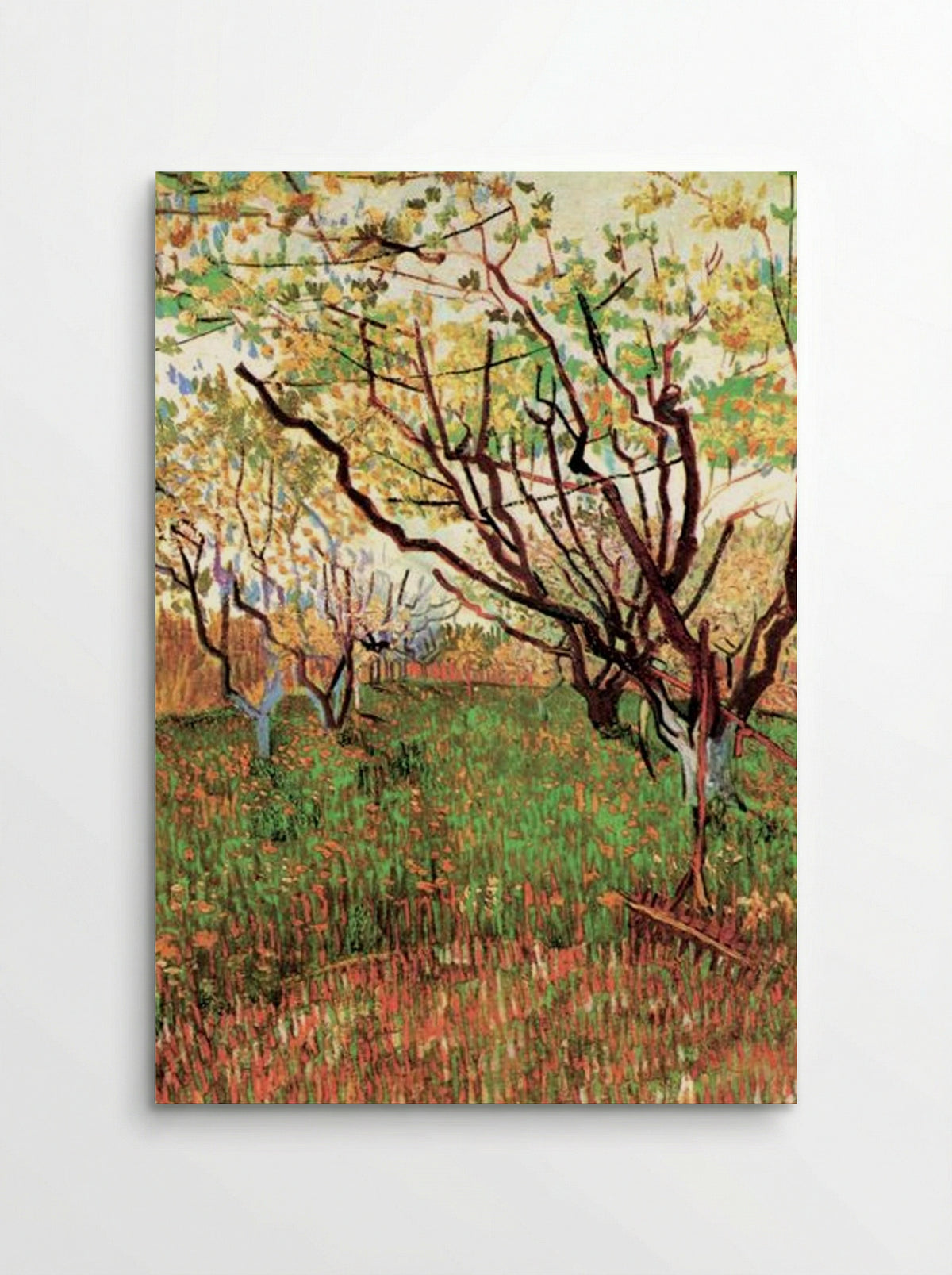 Orchard in Blossom - Vincent van Gogh - Poster