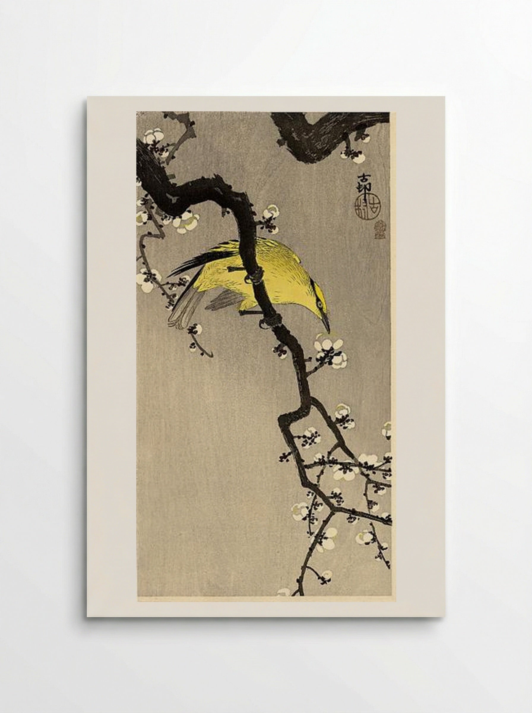 Oriole on Plum Branch - Ohara Koson - Poster