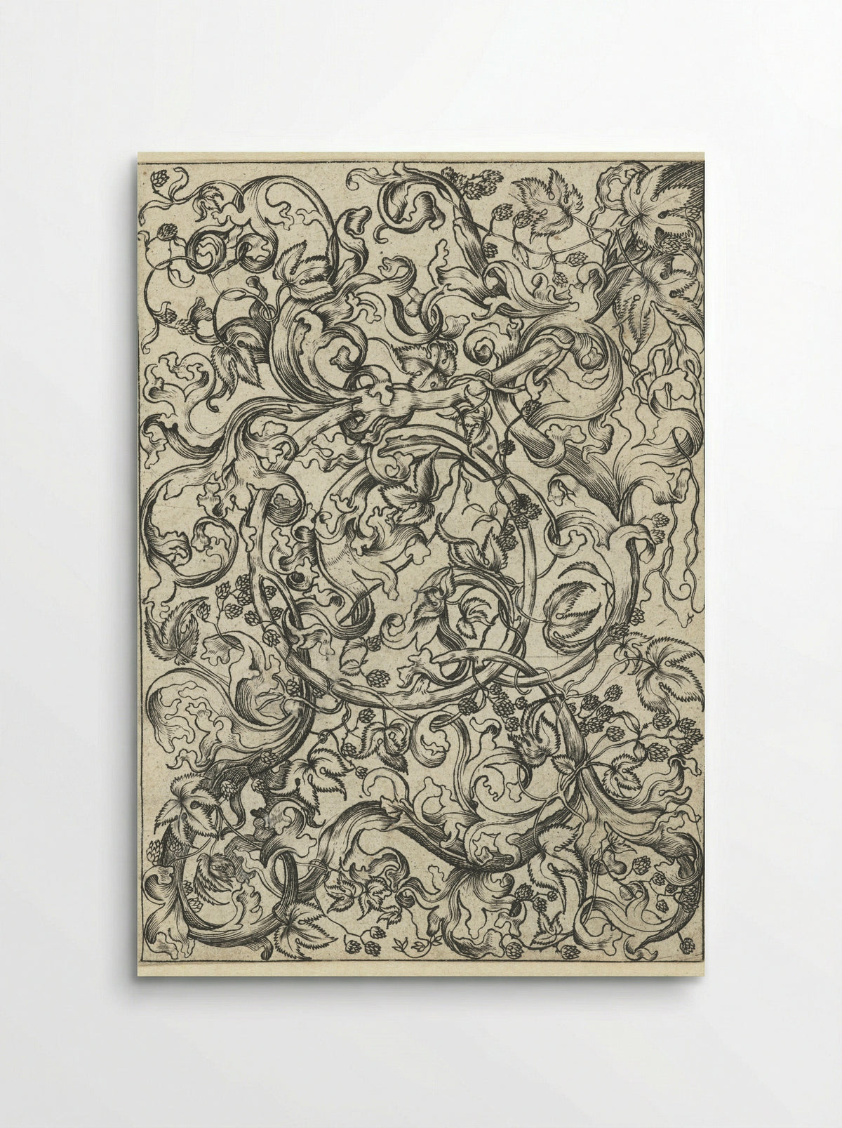 Ornament with Hop Vines - Meester FVB - Poster