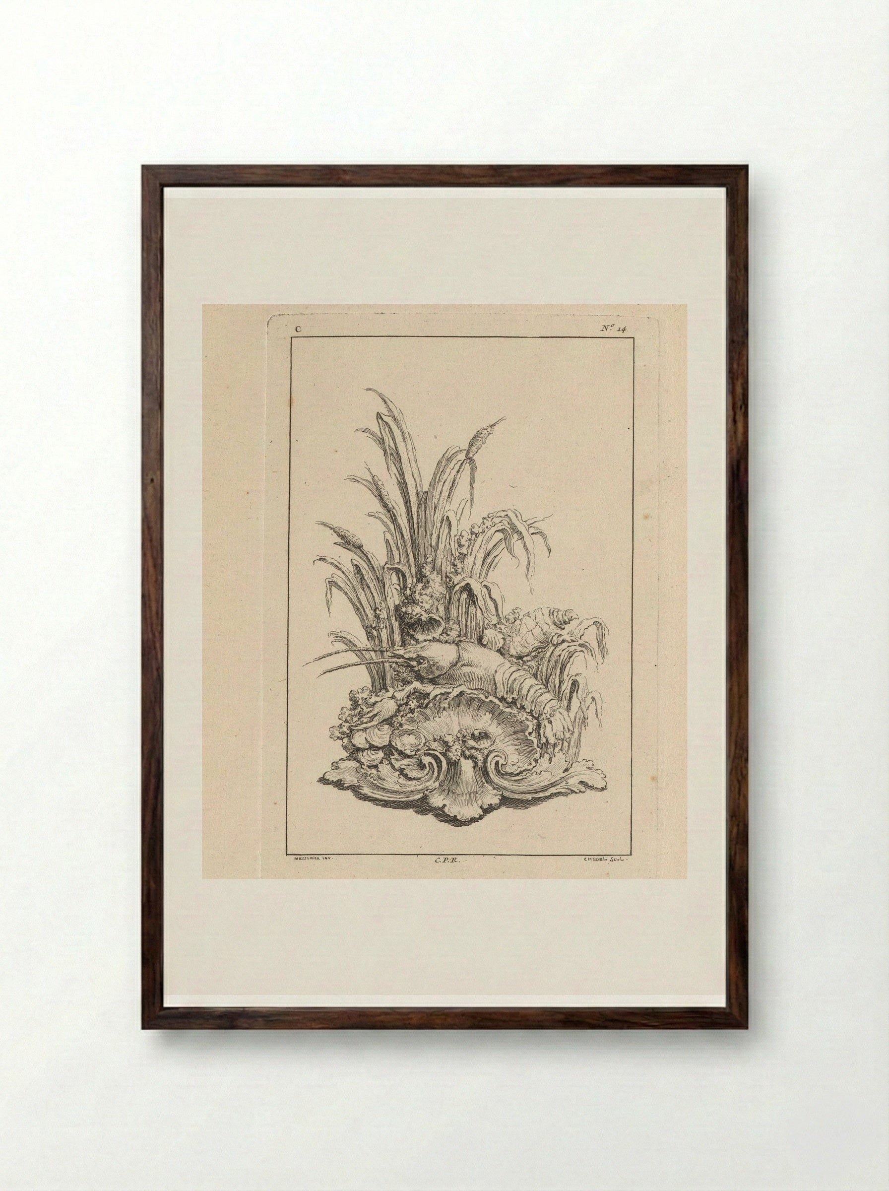 Ornament with Shell, Crayfish and Oysters - Gabriel Huquier - Framed Print Dark Wood