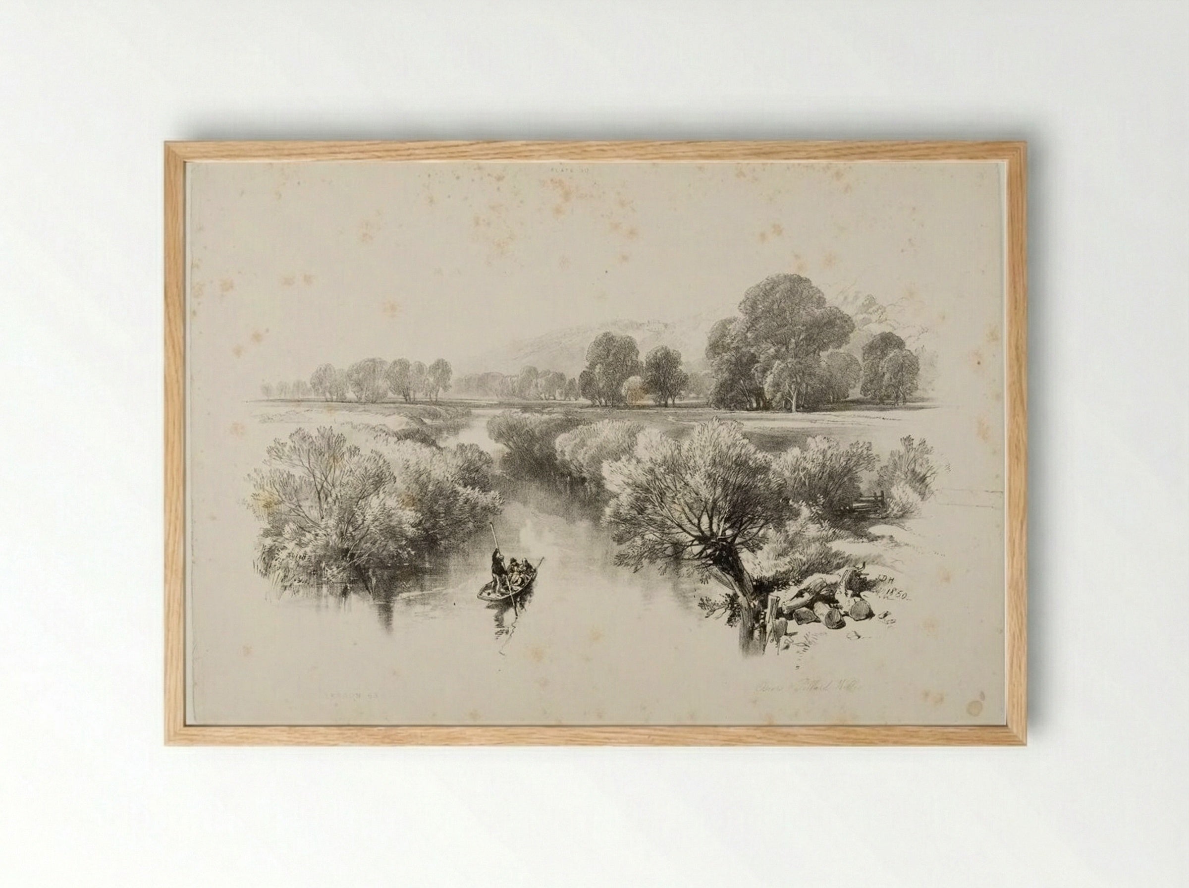 Osiers and Pollard Willow - James Duffield Harding - Framed Print Wood