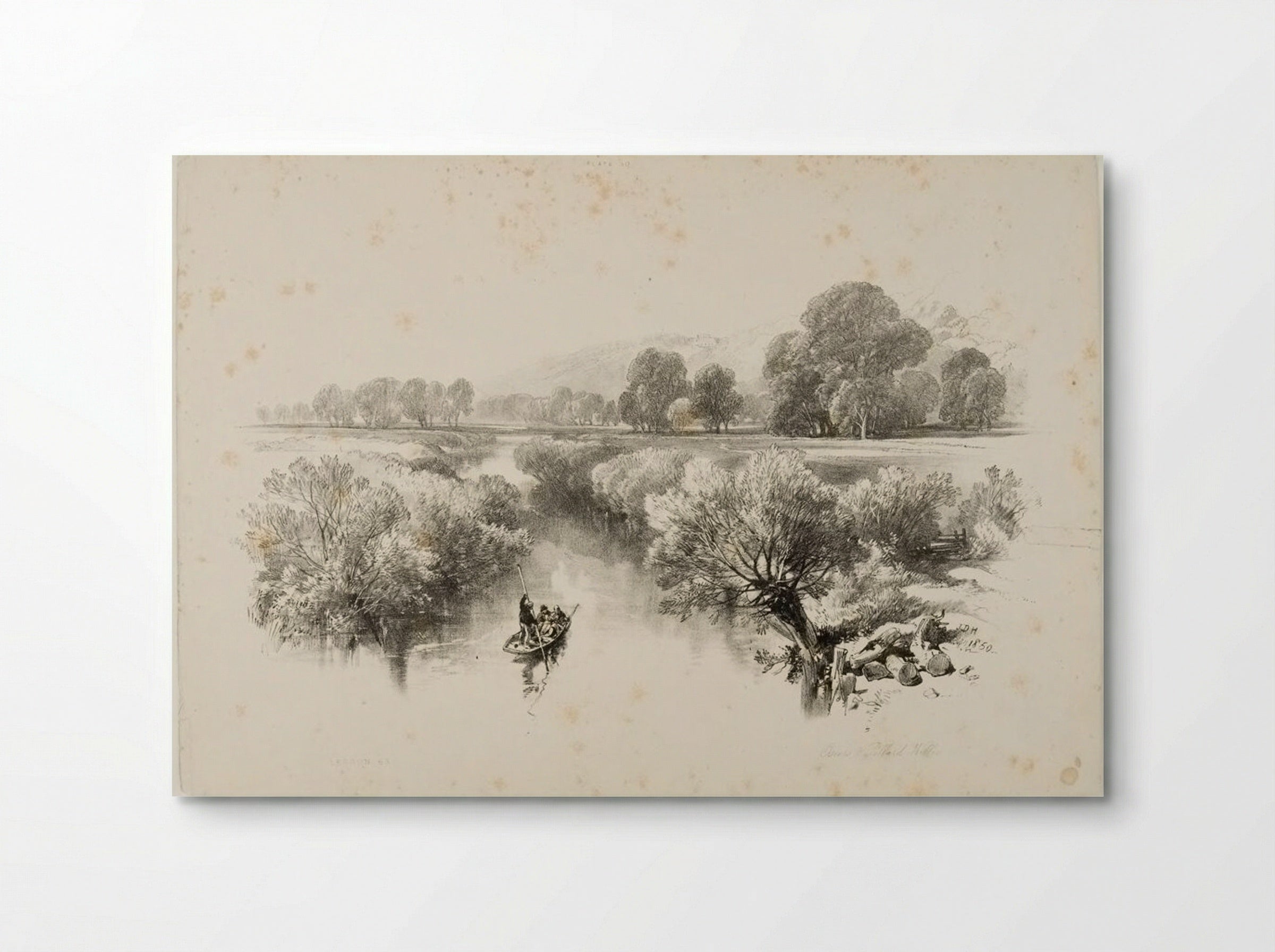 Osiers and Pollard Willow - James Duffield Harding - Poster