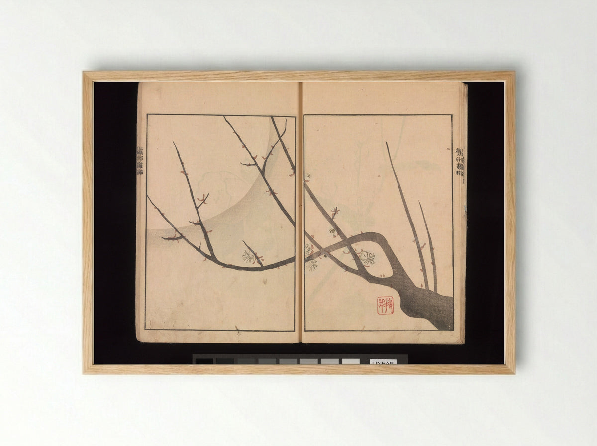 Oson Fuga - Sakai Hōitsu - Framed Print Wood