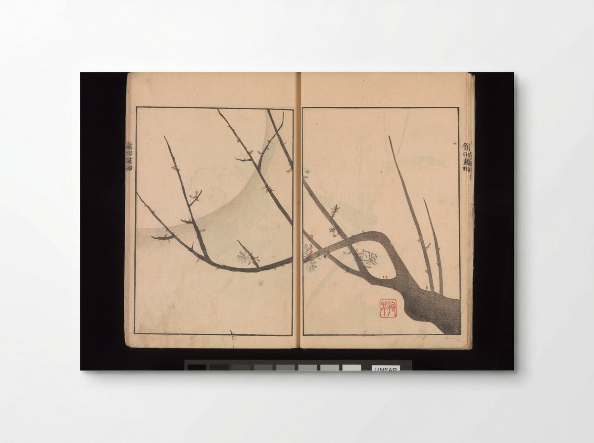 Oson Fuga - Sakai Hōitsu - Poster
