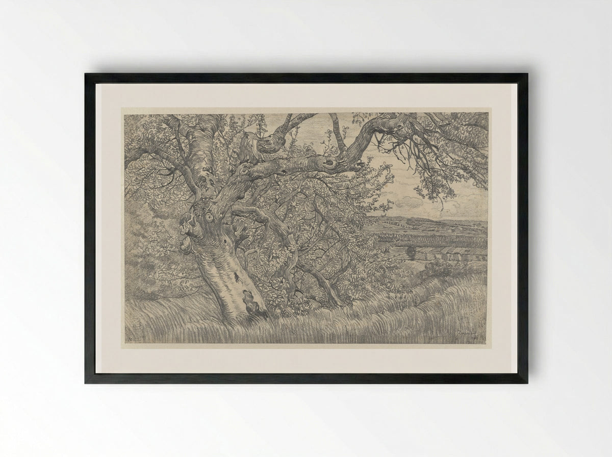 Oude boom in glooiend landschap - Pieter Dupont - Framed Print Black