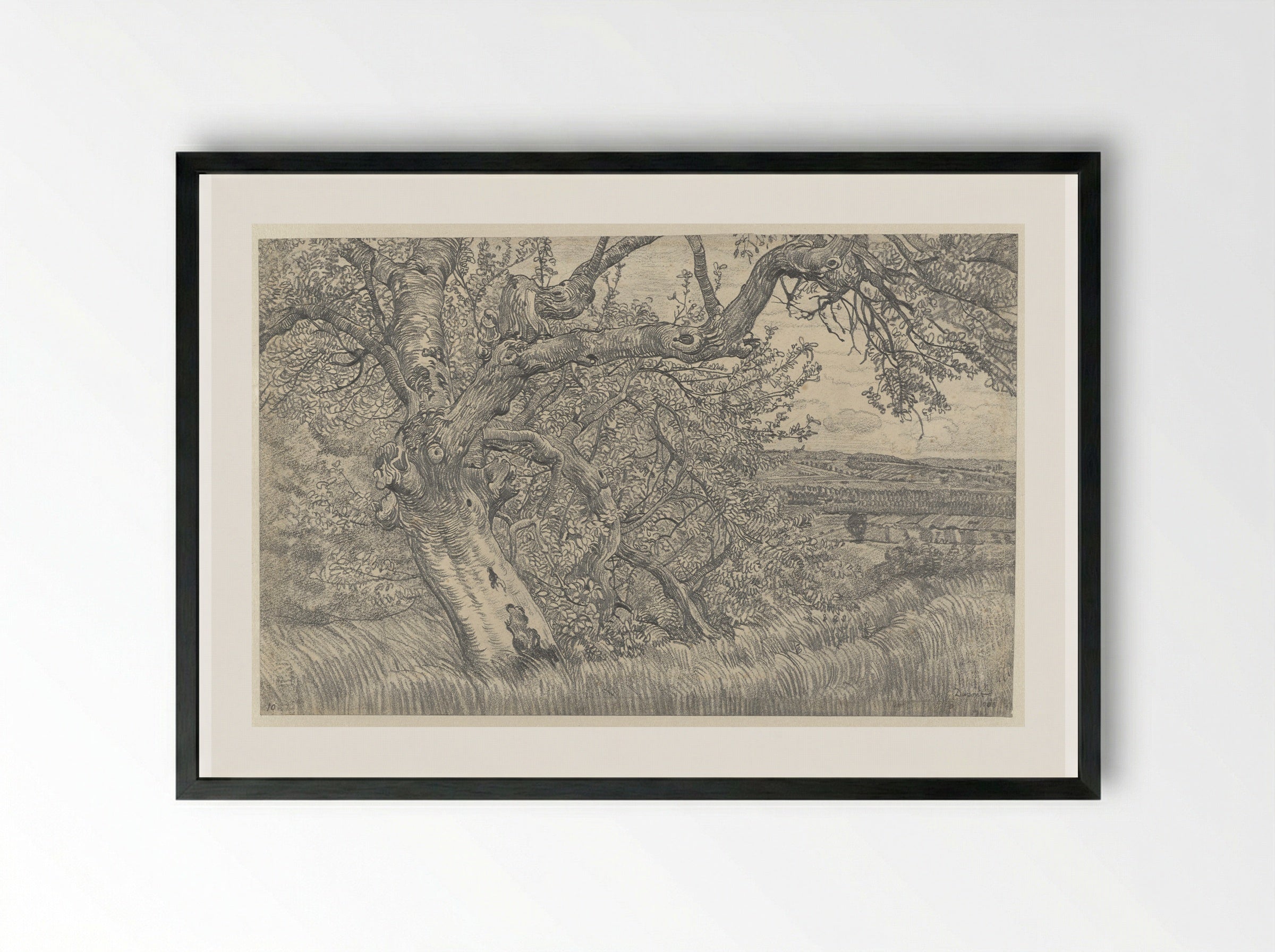 Oude boom in glooiend landschap - Pieter Dupont - Framed Print Black