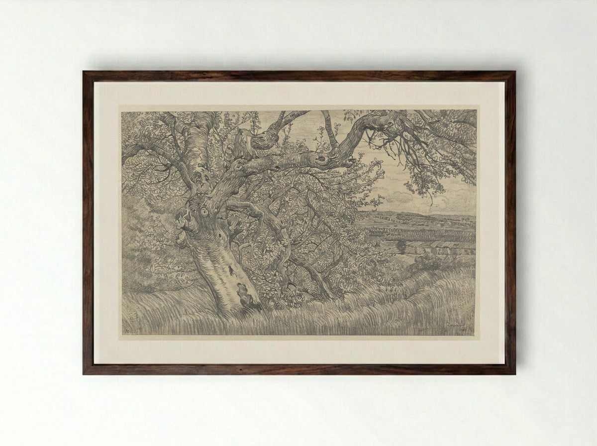 Oude boom in glooiend landschap - Pieter Dupont - Framed Print Dark Wood