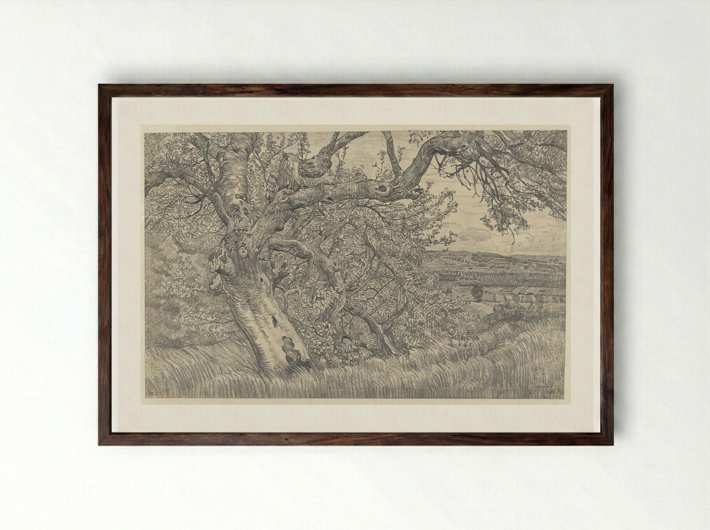 Oude boom in glooiend landschap - Pieter Dupont - Framed Print Dark Wood