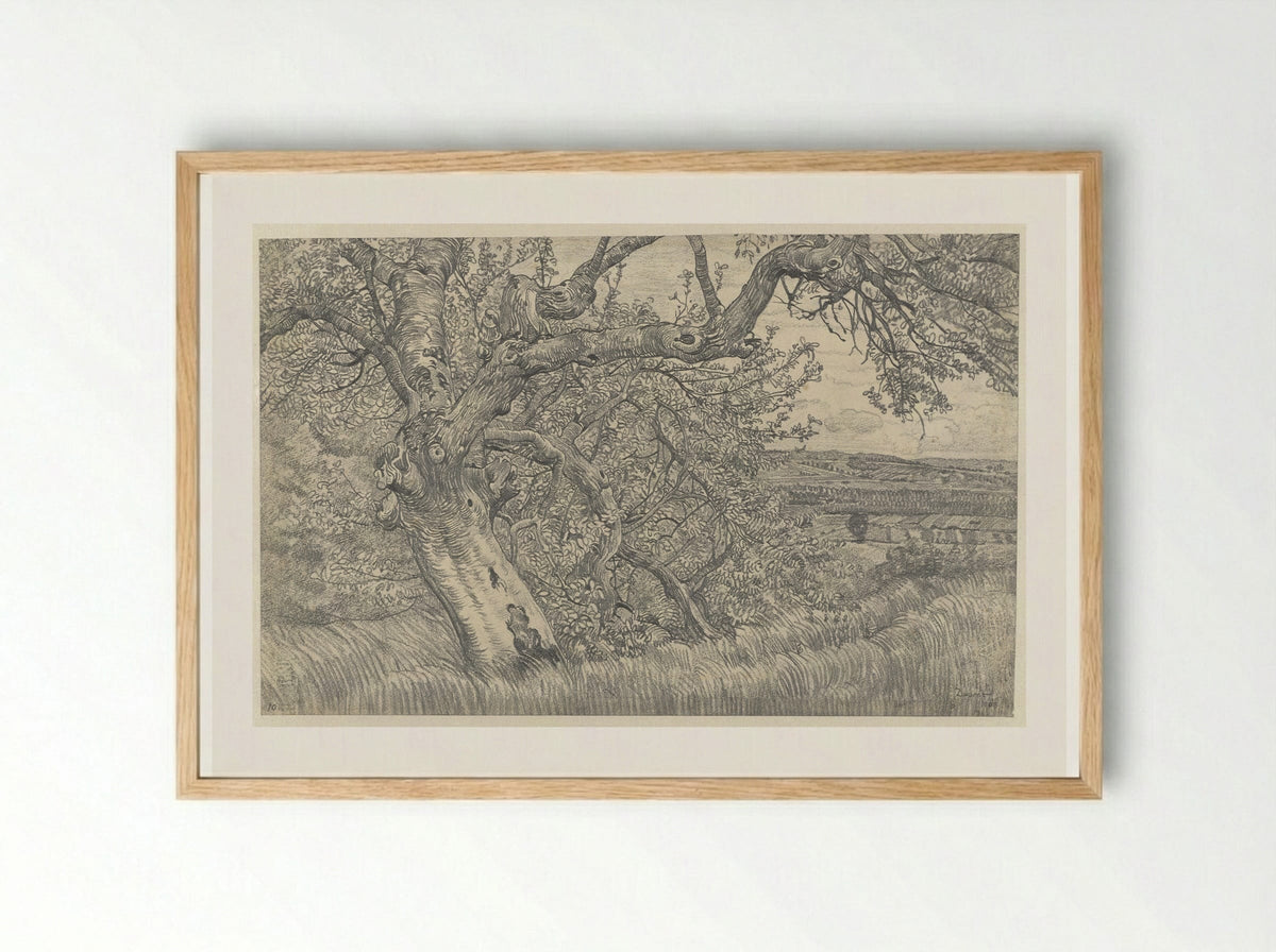 Oude boom in glooiend landschap - Pieter Dupont - Framed Print Wood