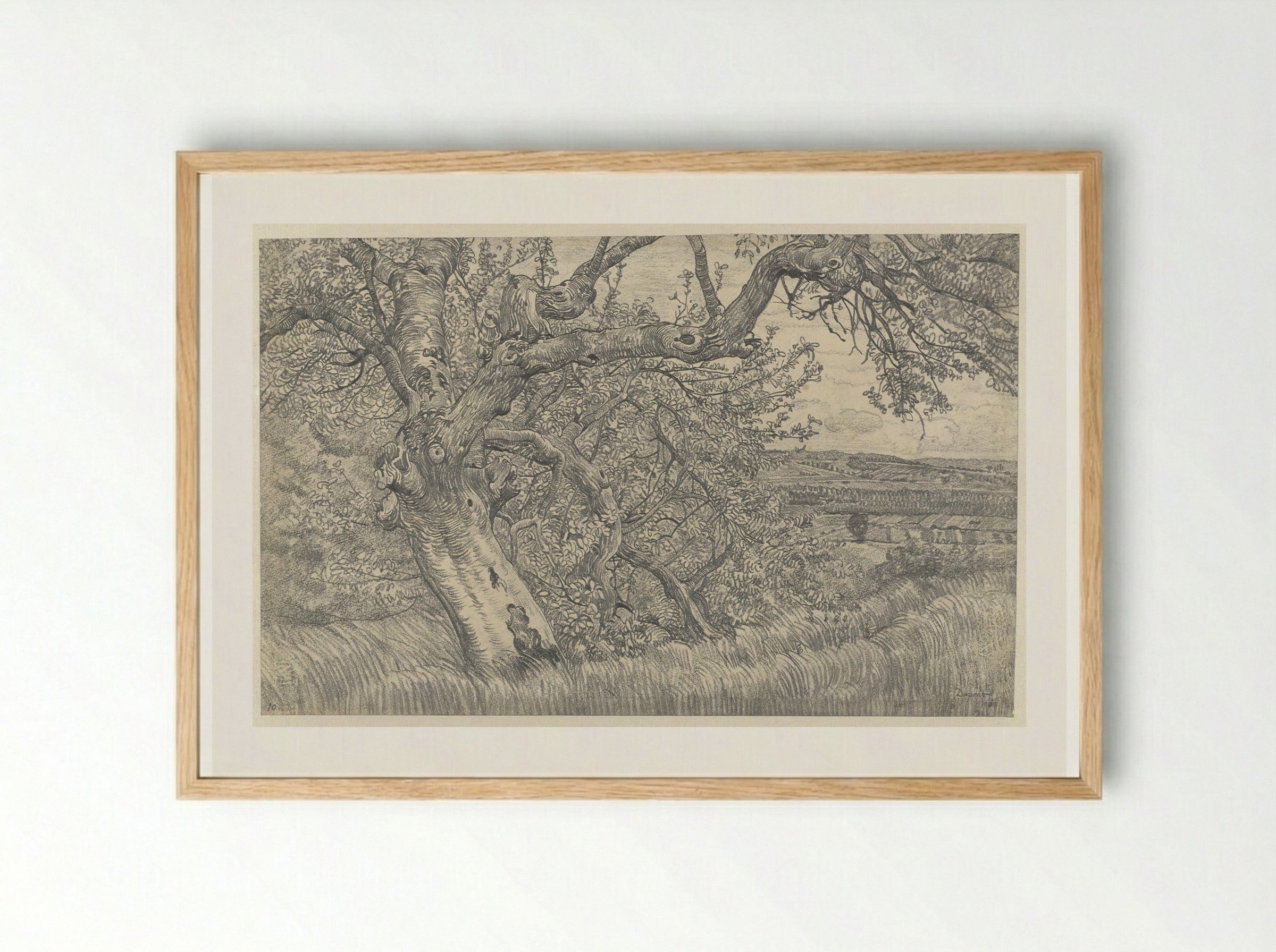 Oude boom in glooiend landschap - Pieter Dupont - Framed Print Wood