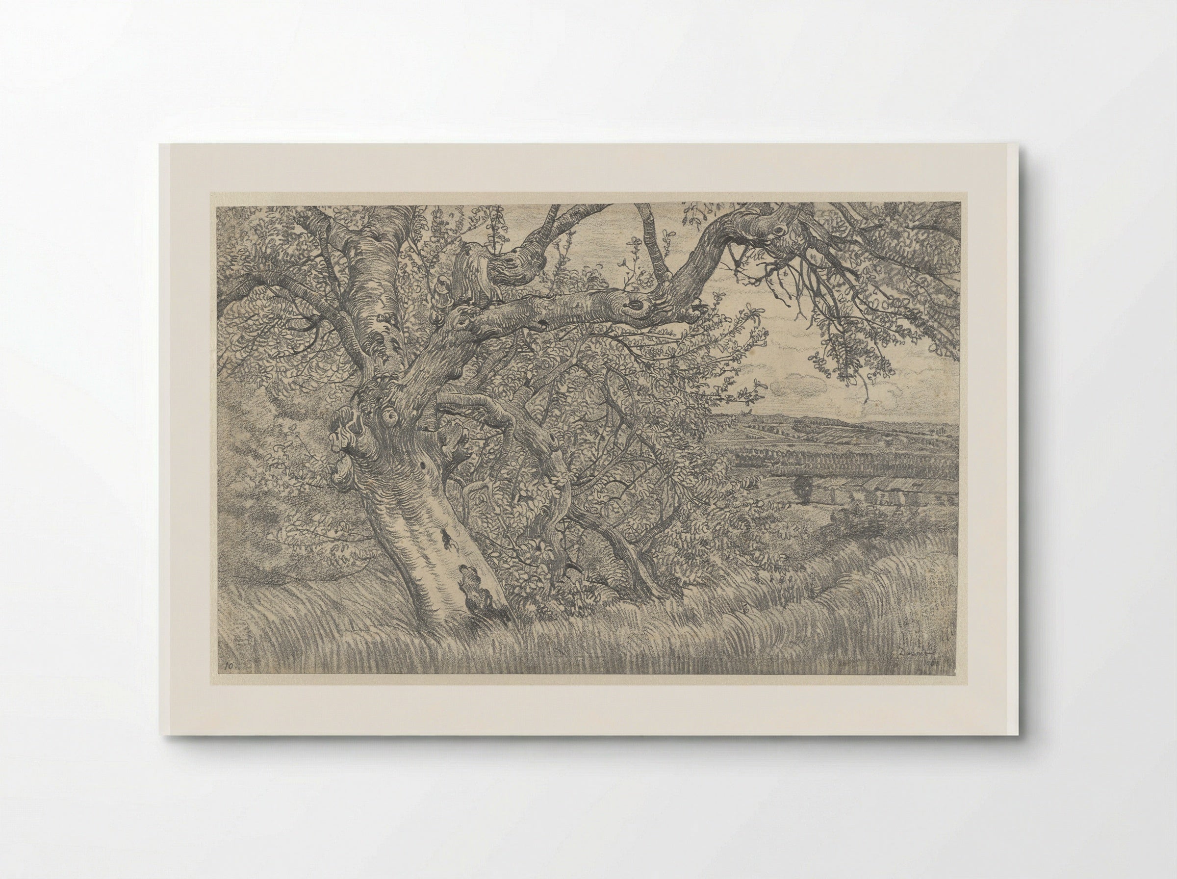 Oude boom in glooiend landschap - Pieter Dupont - Poster