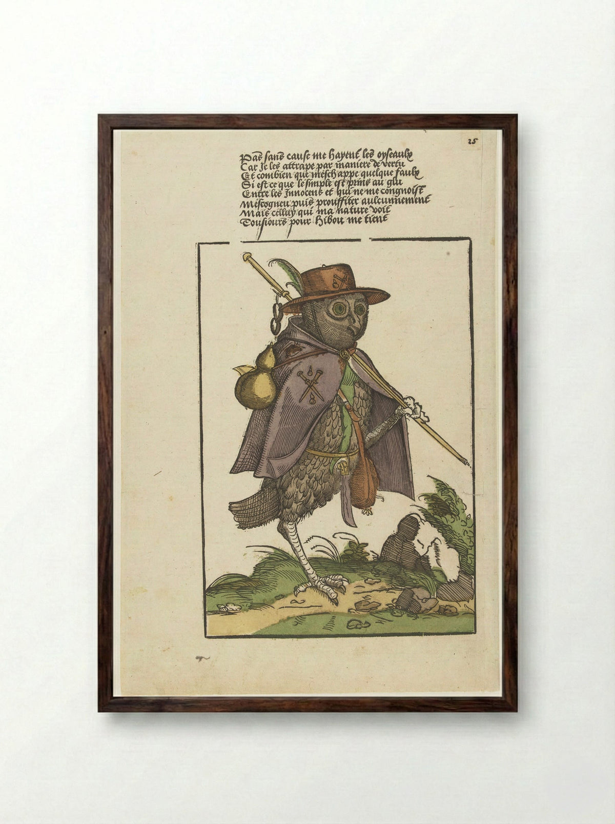 Owl Dressed as a Pilgrim - Monogrammist MH - Framed Print Dark Wood