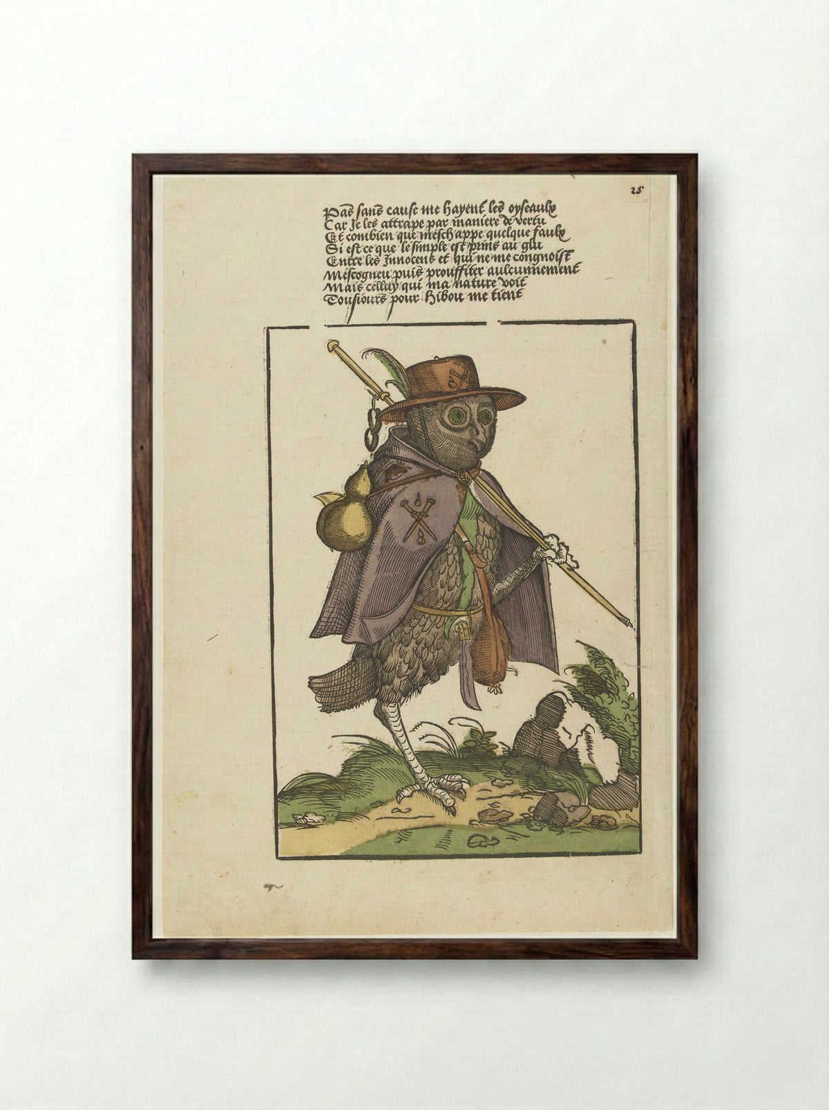 Owl Dressed as a Pilgrim - Monogrammist MH - Framed Print Dark Wood