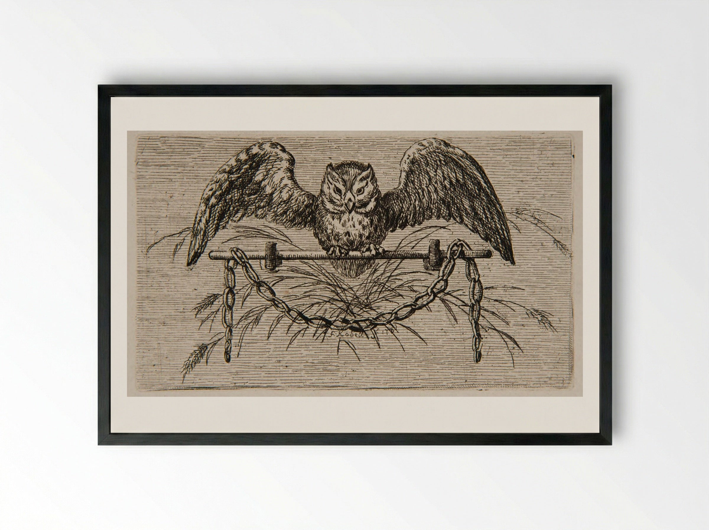Owl - Ferdinand Kobell - Framed Print Black