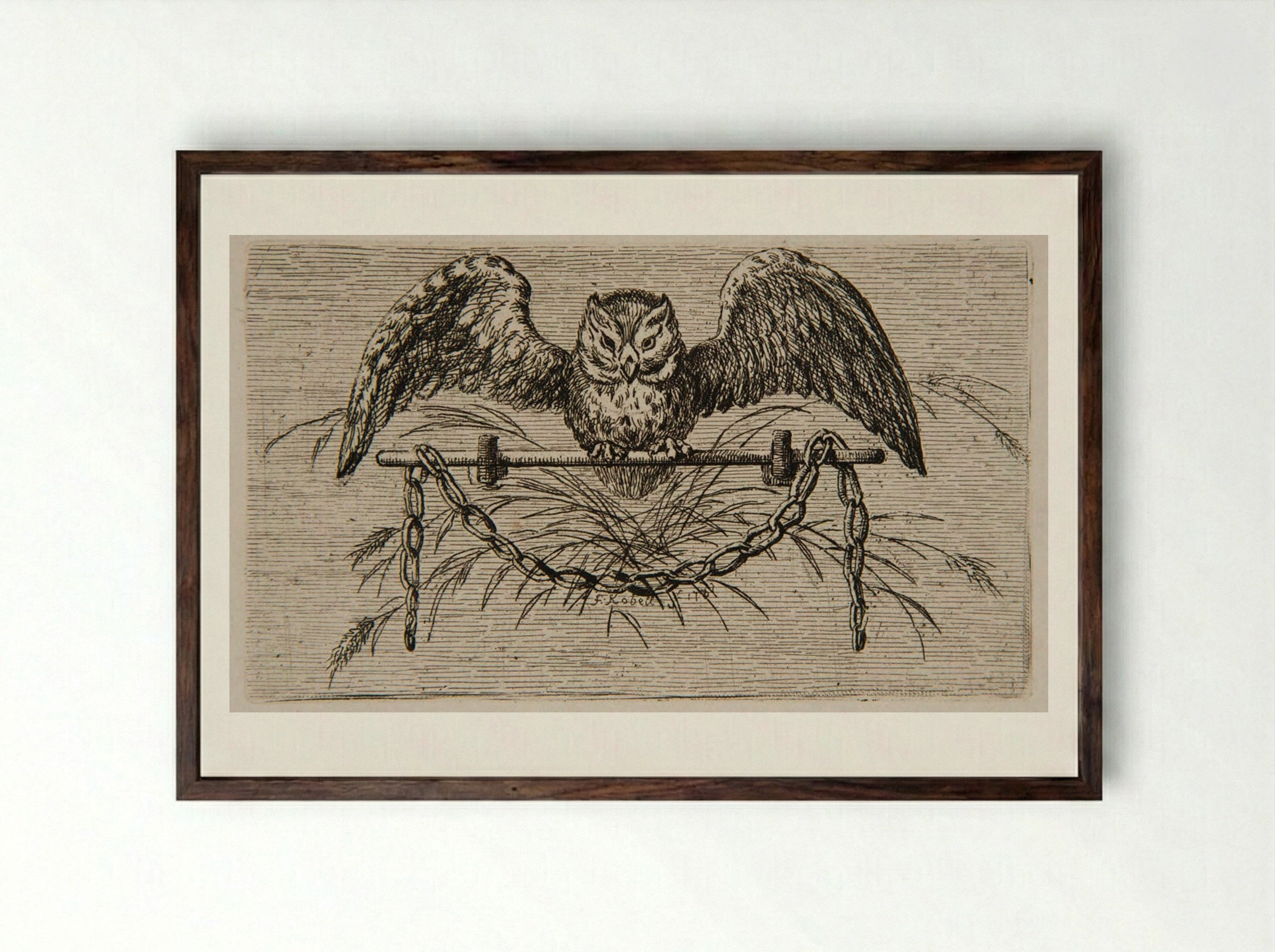 Owl - Ferdinand Kobell - Framed Print Dark Wood