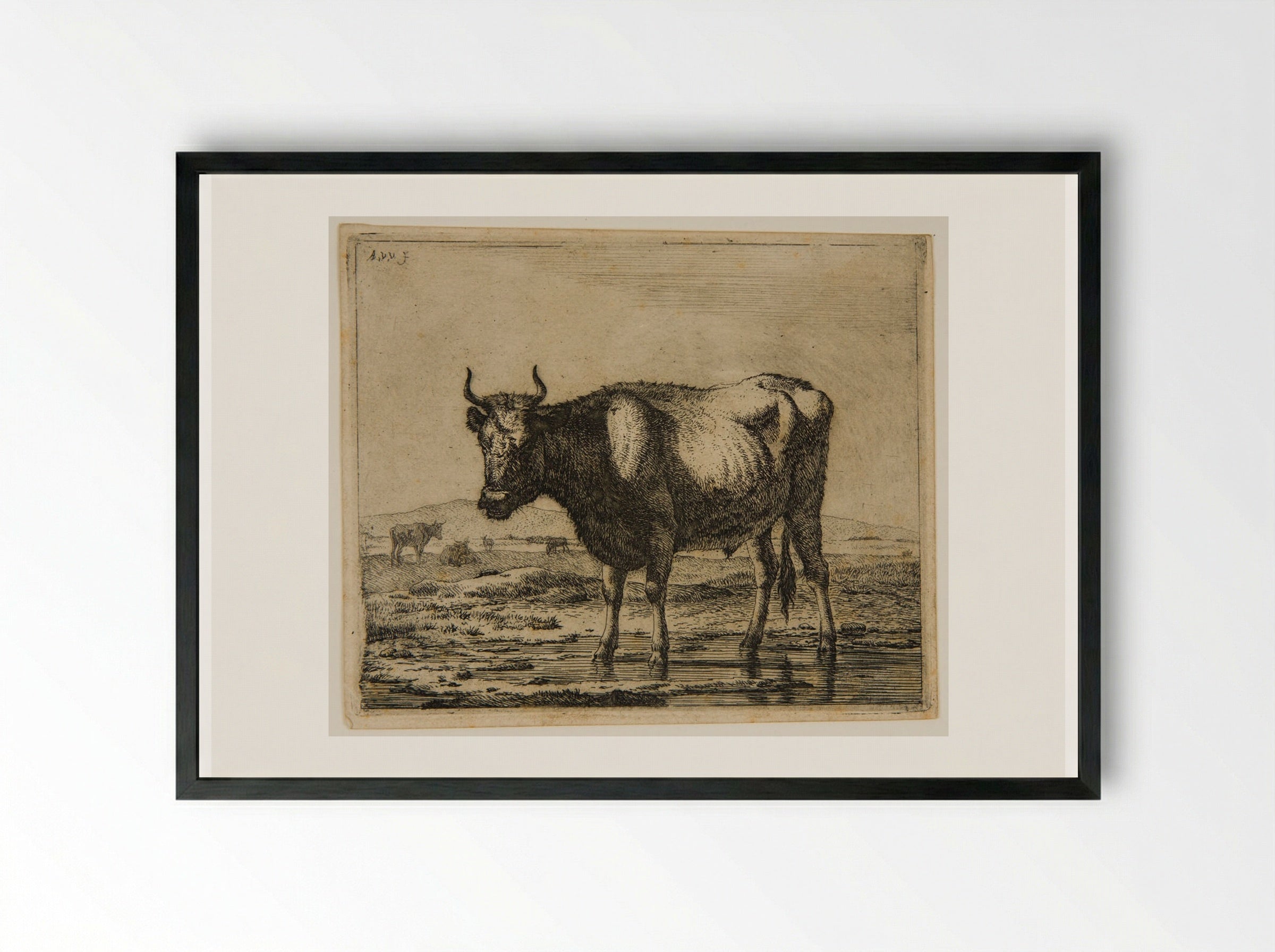 Ox Standing in the Water - Adriaen van de Velde - Framed Print Black