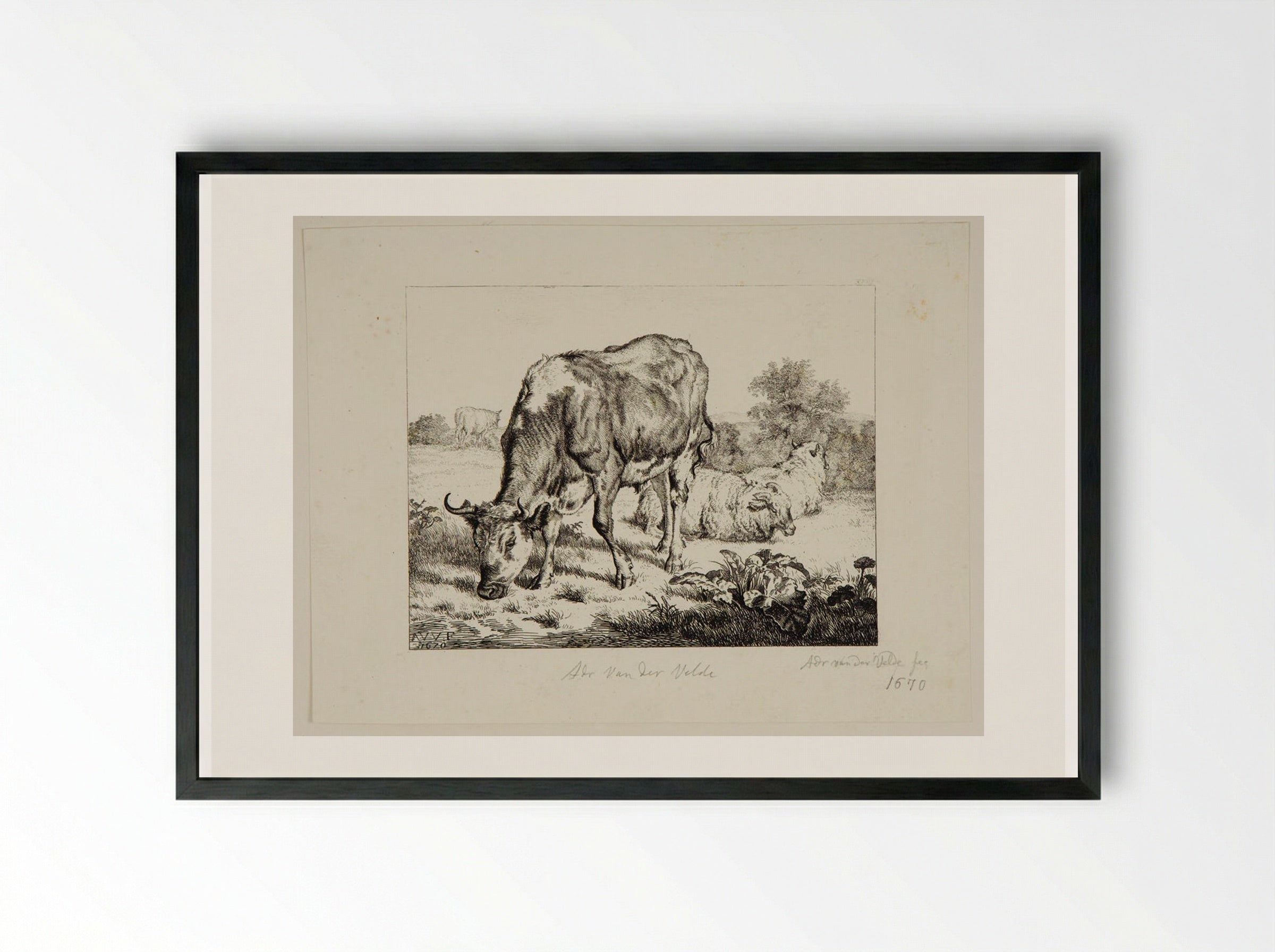 Ox and Three Sheep - Adriaen van de Velde - Framed Print Black