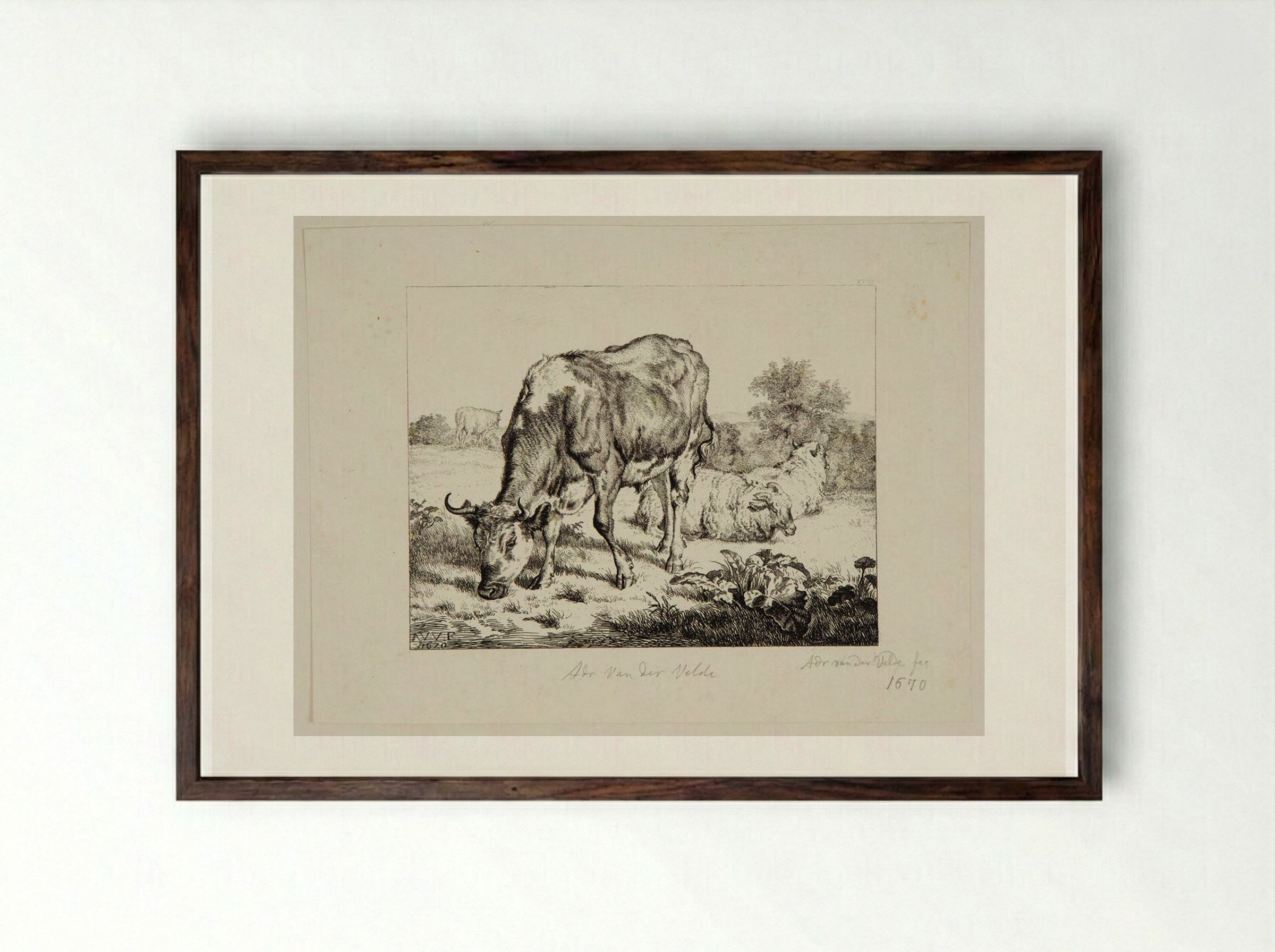 Ox and Three Sheep - Adriaen van de Velde - Framed Print Dark Wood