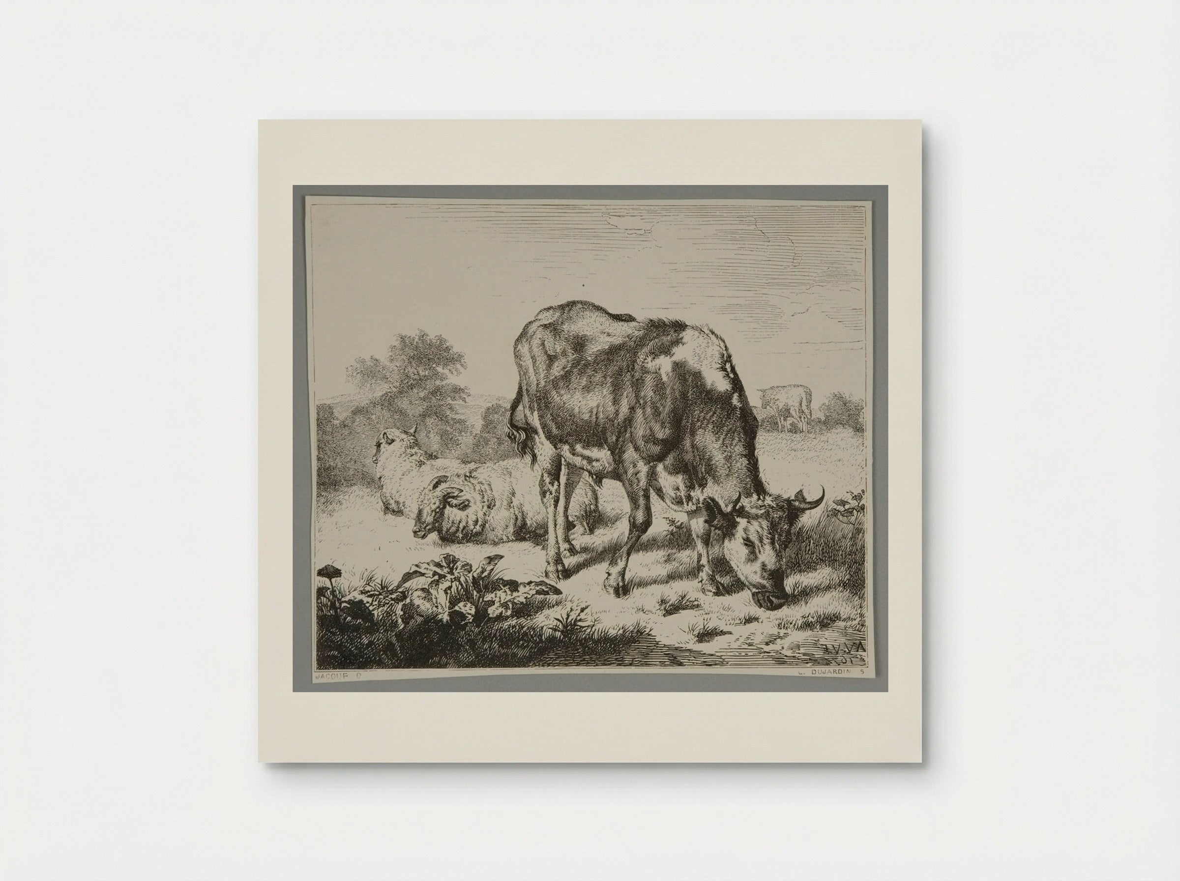 Ox and Three Sheep - Louis Dujardin - Poster