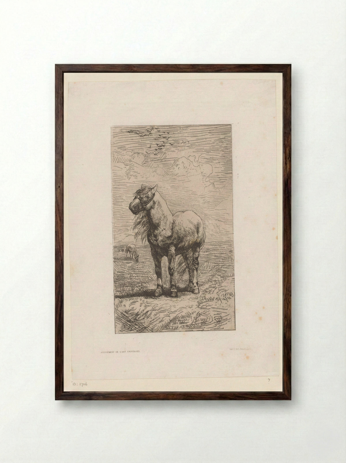 Paard in landschap - Félicien Rops - Framed Print Dark Wood