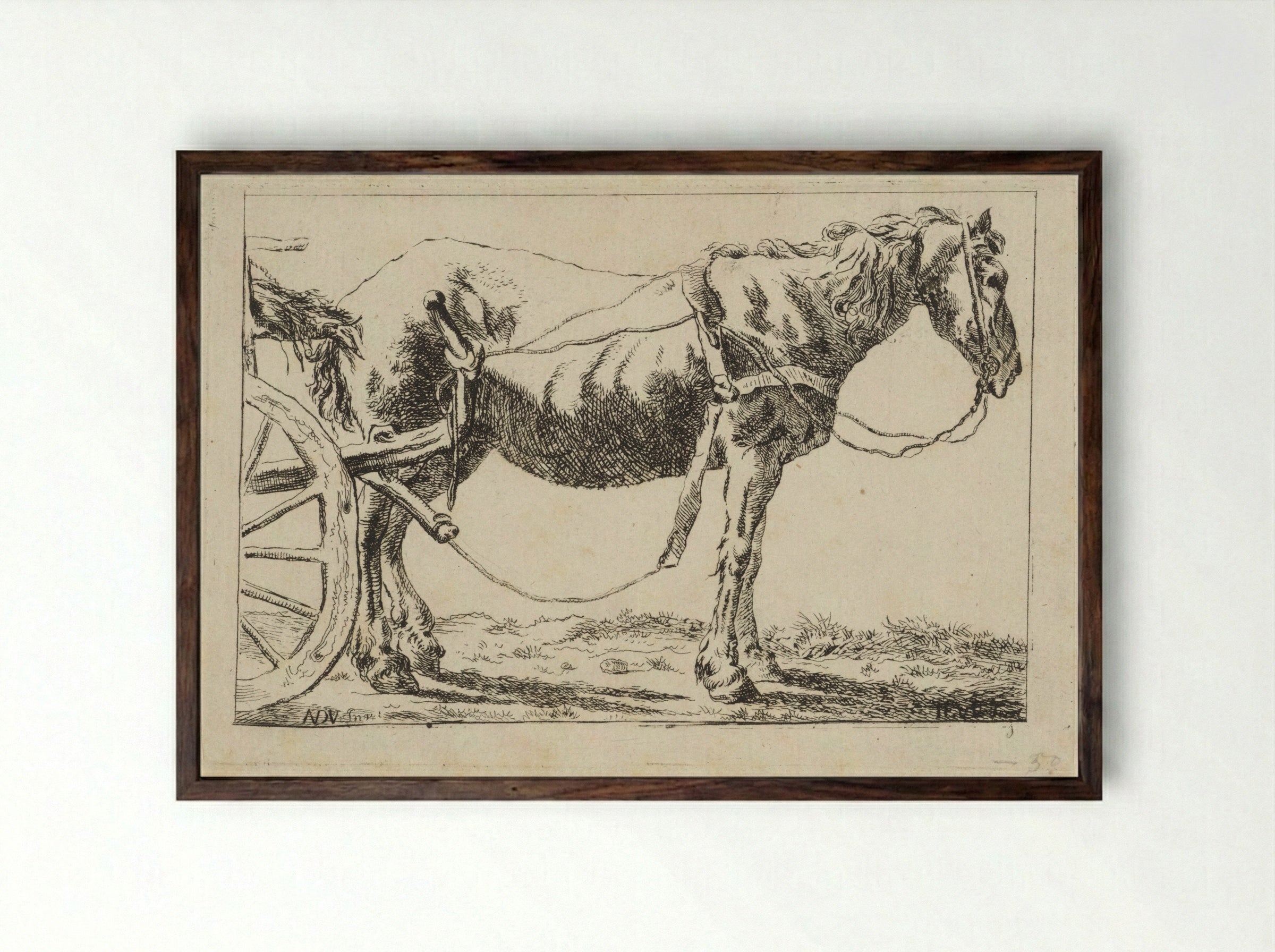 Paard voor een kar ingespannen - Jacob Elias van Varelen - Framed Print Dark Wood
