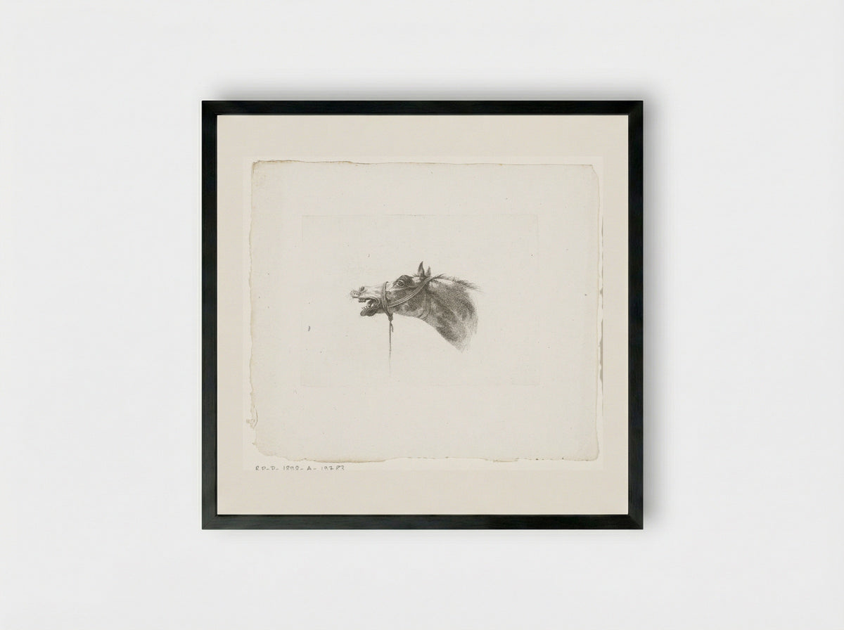 Paardenhoofd met open bek, naar links - Joannes Bemme - Framed Print Black