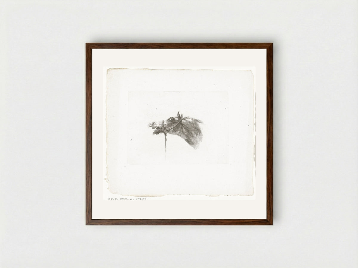 Paardenhoofd met open bek, naar links - Joannes Bemme - Framed Print Dark Wood